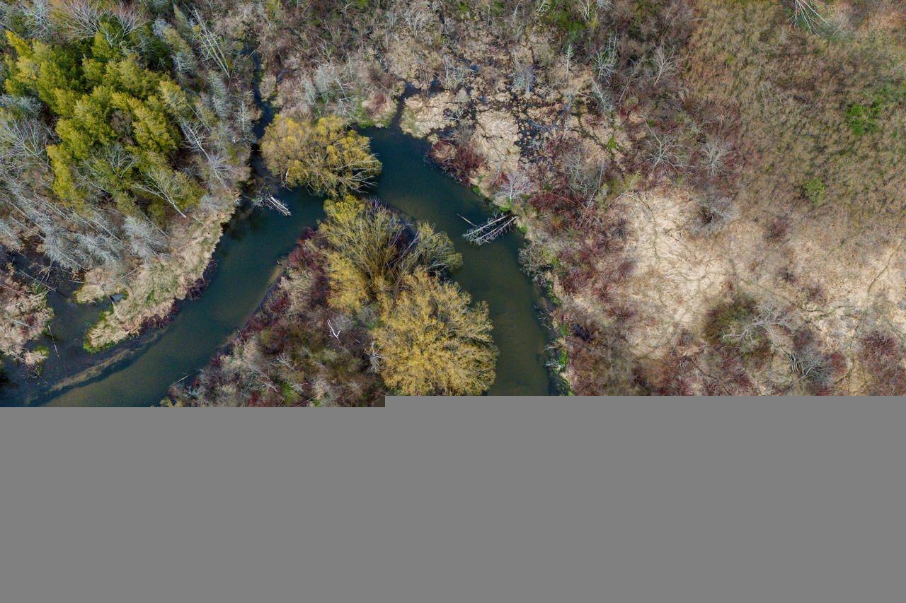 Benzonia, MI 49616,0 River