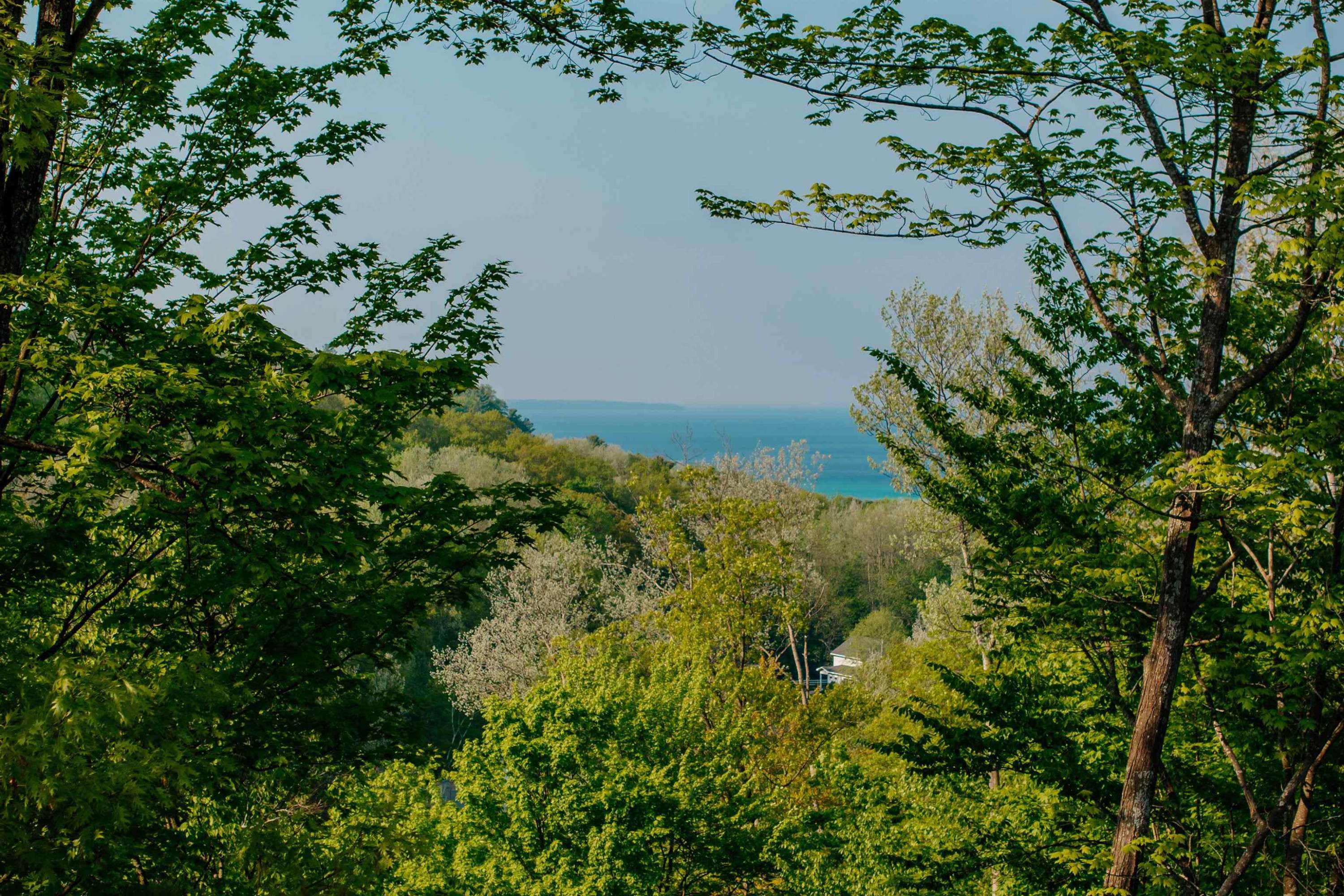 Traverse City, MI 49684,9150 S Majestic Ridge Drive