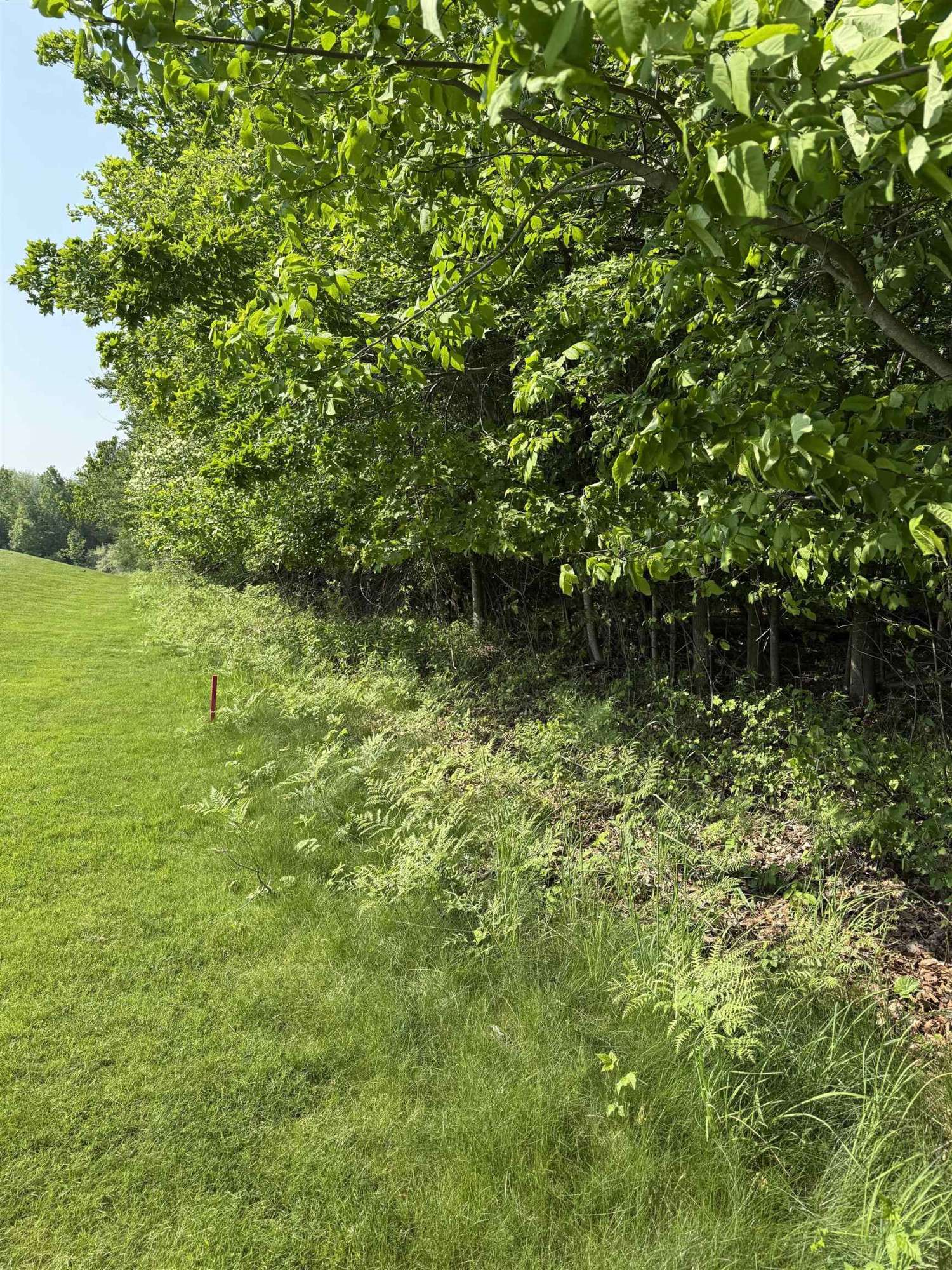 Kewadin, MI 49648,0000 Mooney Way