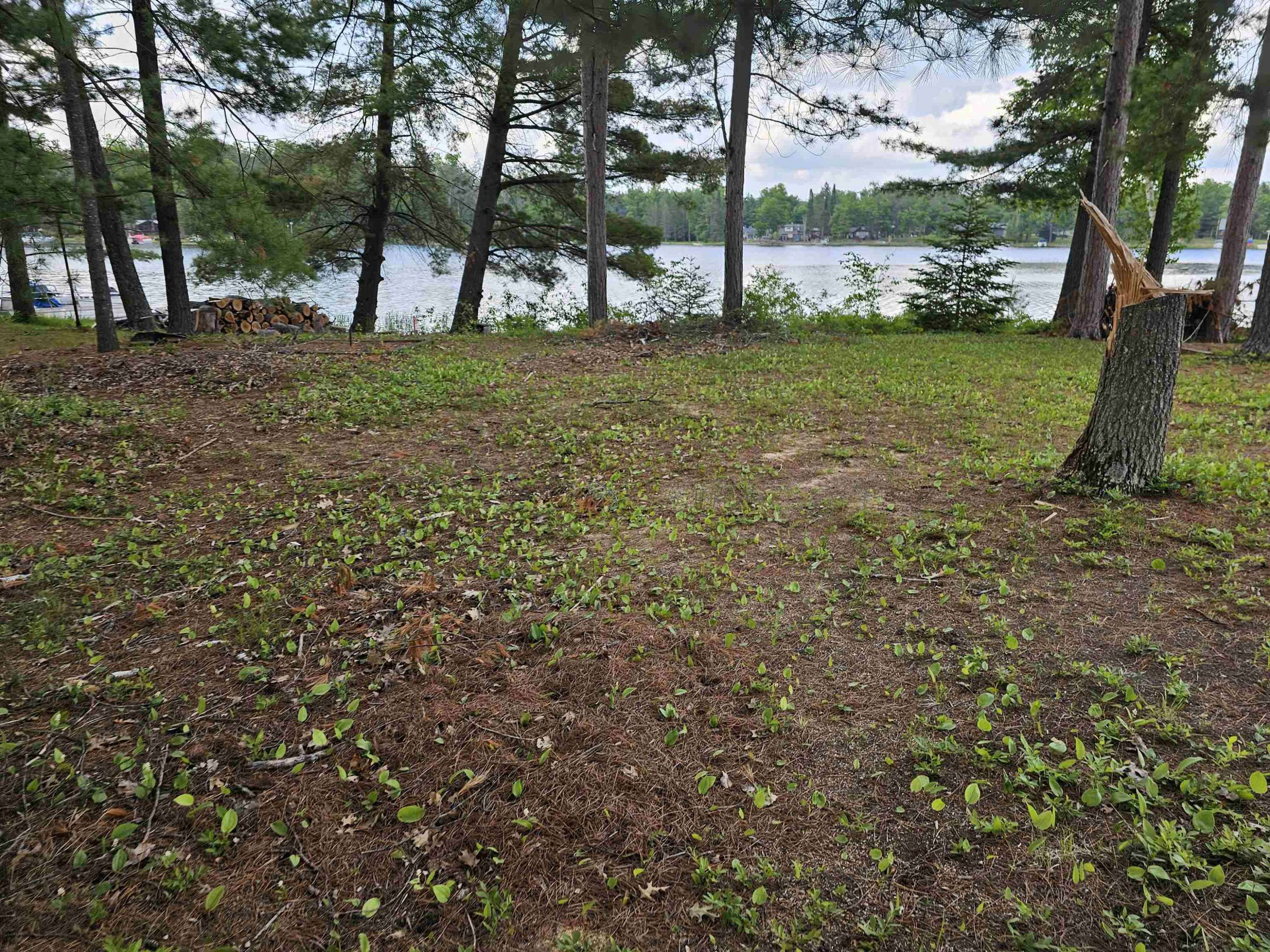South Branch, MI 48761,lot 12 Paradise Drive