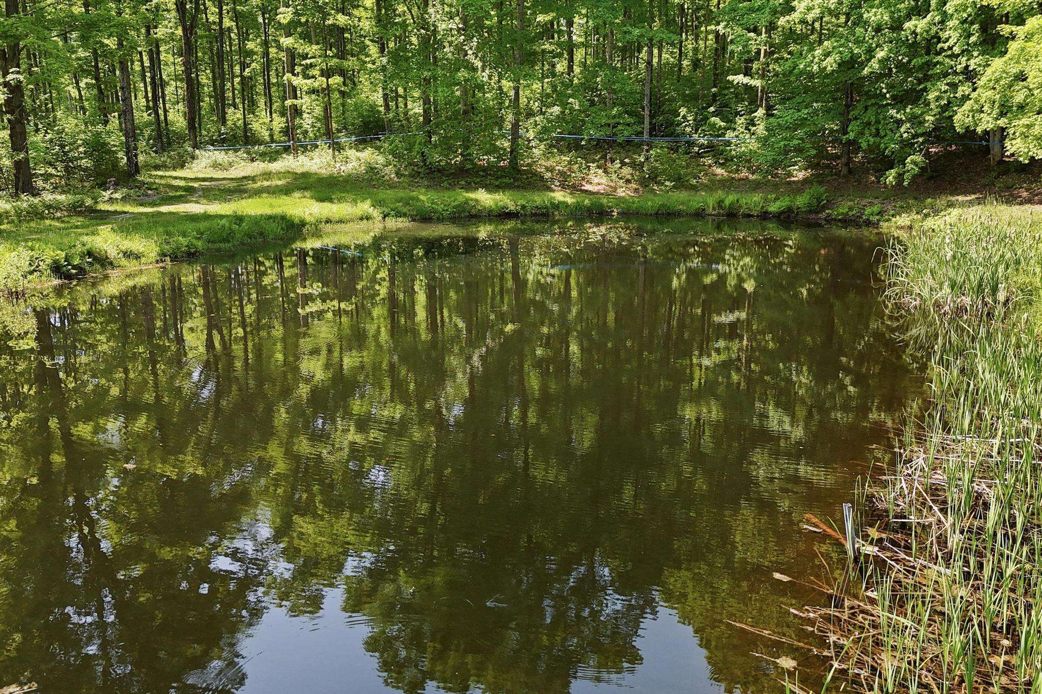 Fife Lake, MI 49633,5056 Entwood Lane