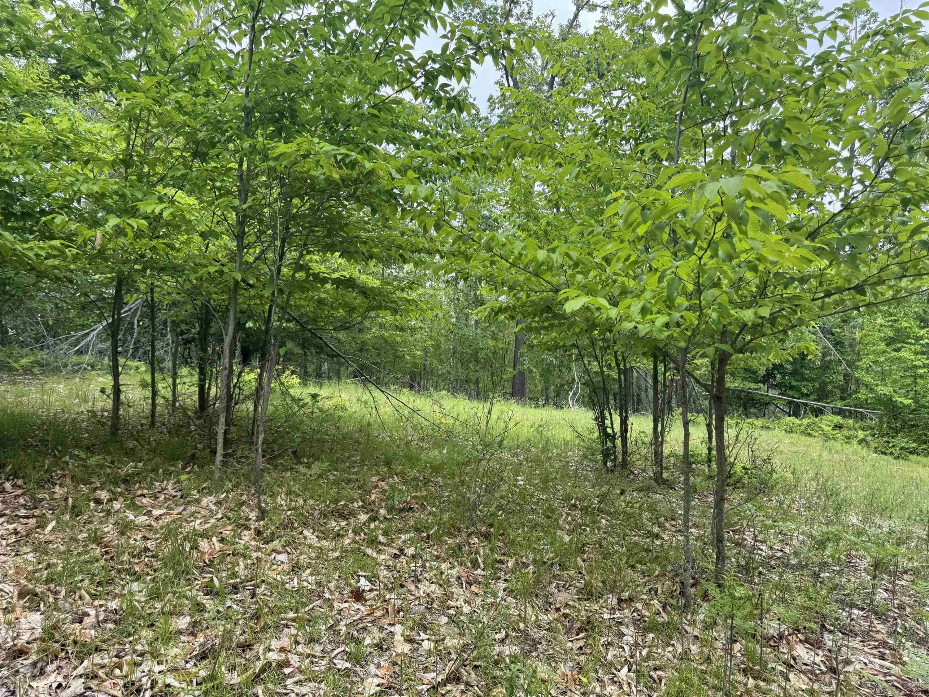 Gaylord, MI 49735,7241 Snow Goose Circle