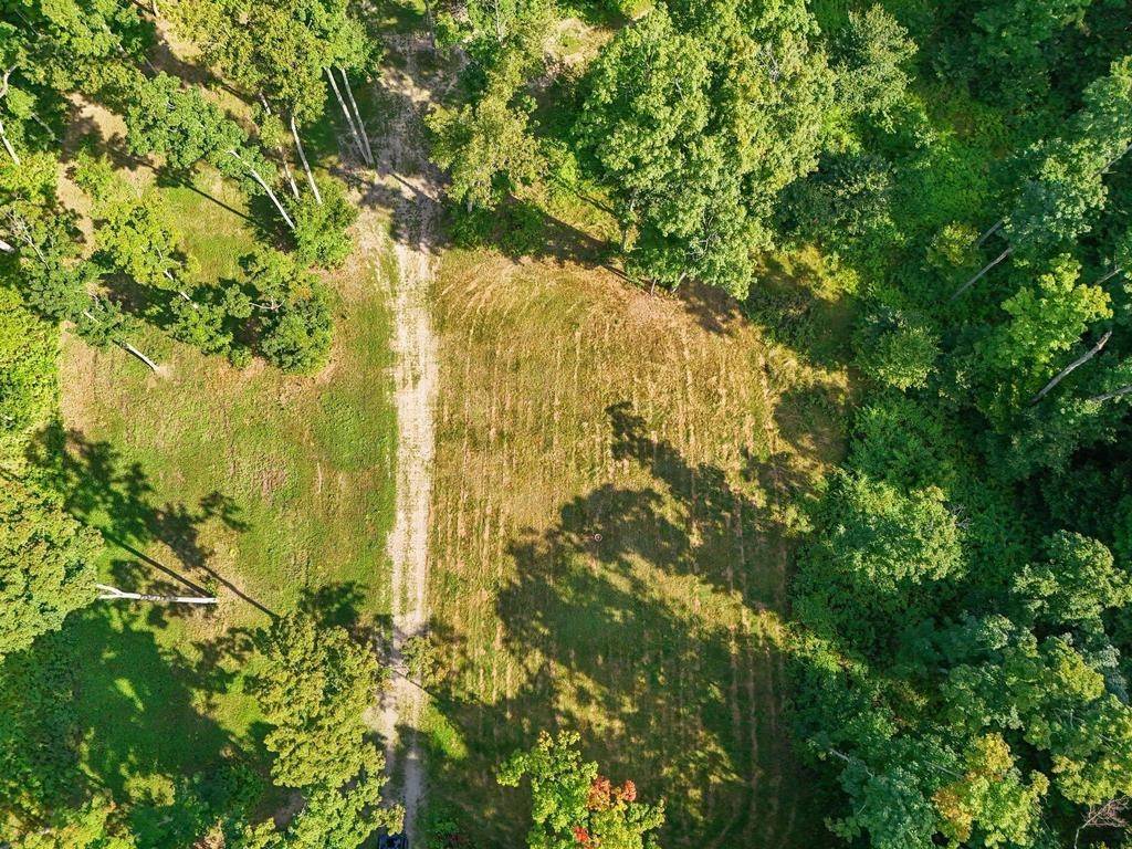 Mancelona, MI 49659,V/L W Elder Road