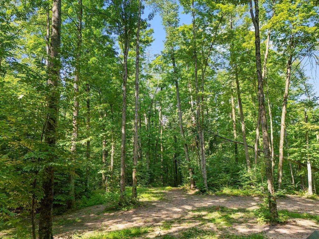 Mancelona, MI 49659,V/L W Elder Road