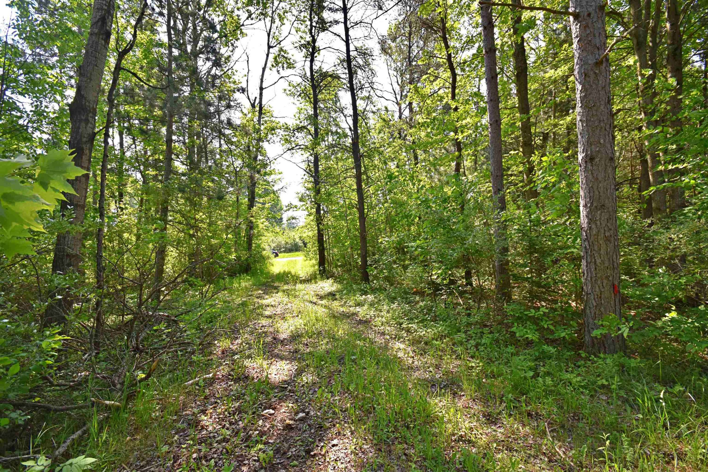 Manton, MI 49663,00 N 43 1/4 Road