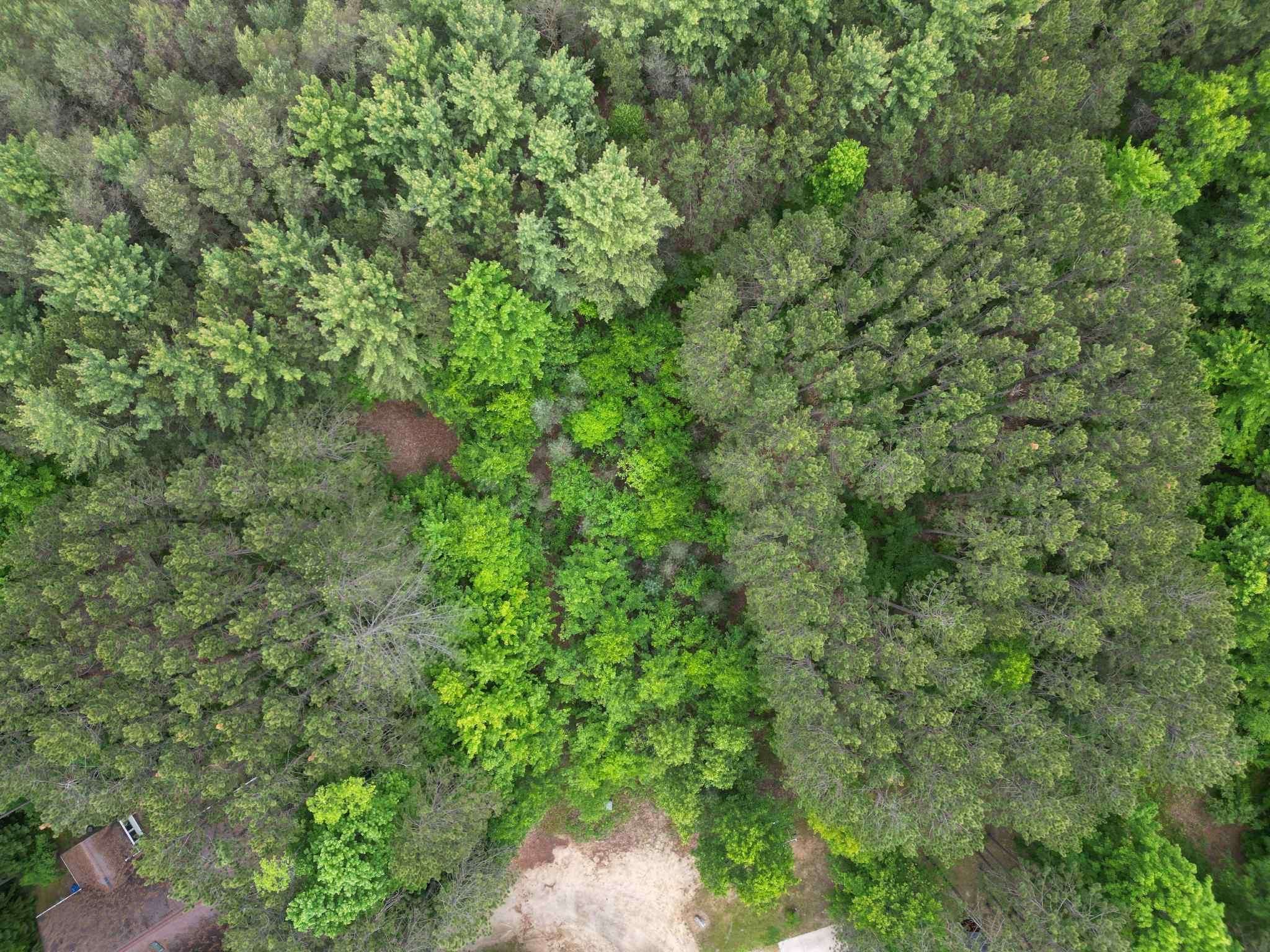 Farwell, MI 48622,TBD Primrose Lane
