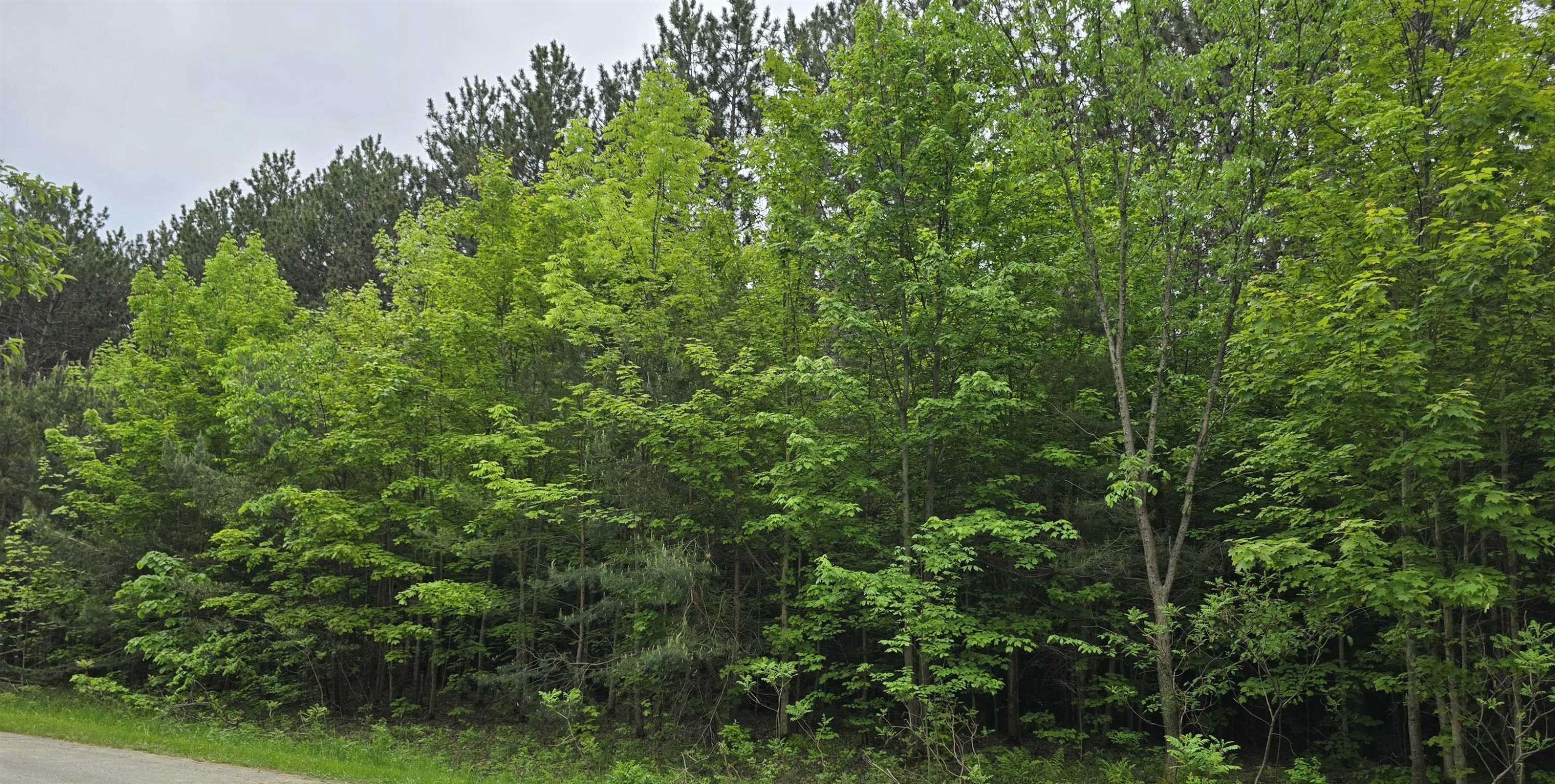 Kalkaska, MI 49646,5083 W Golf Haven Drive