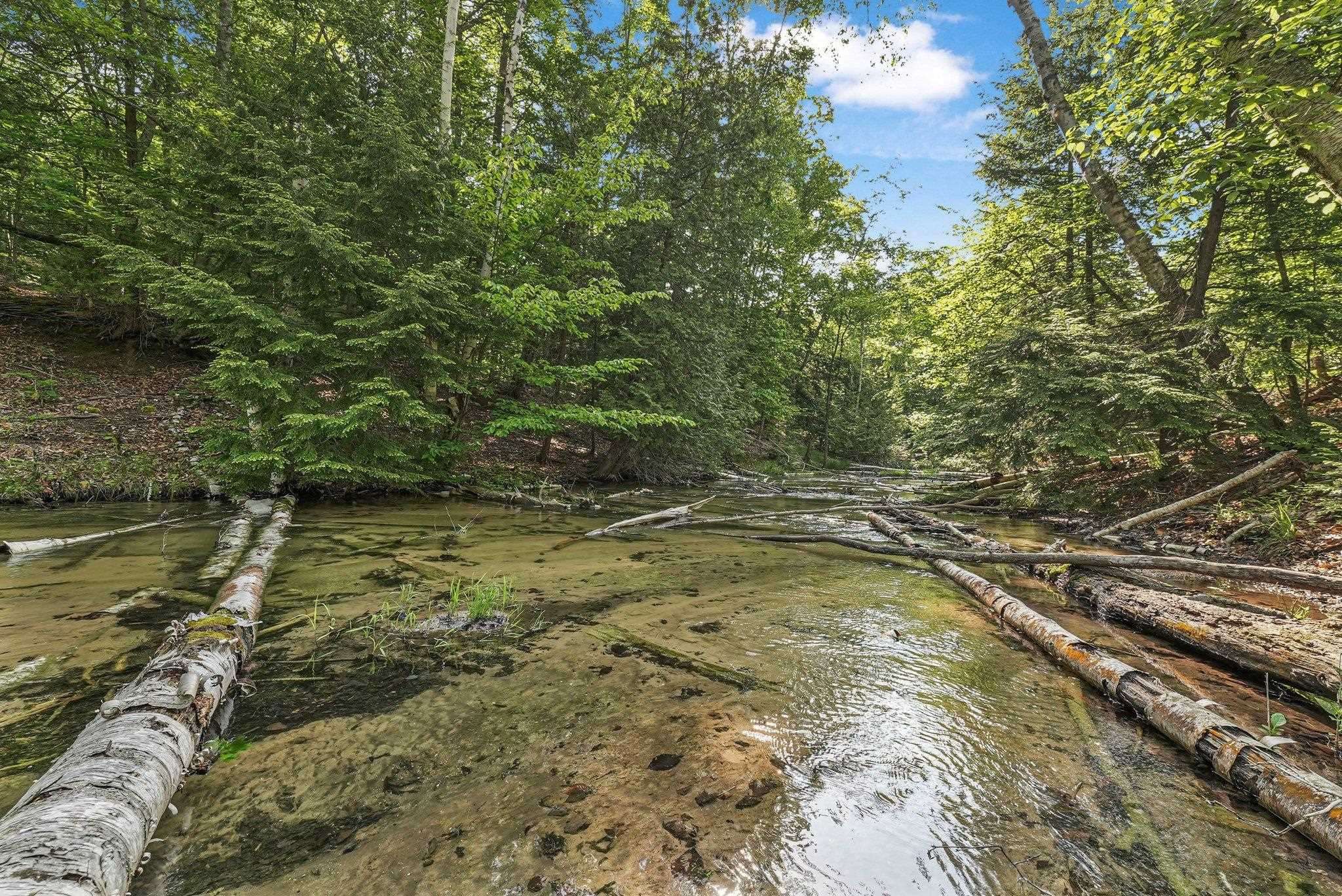 Cedar, MI 49621,405 E Shetland Trail