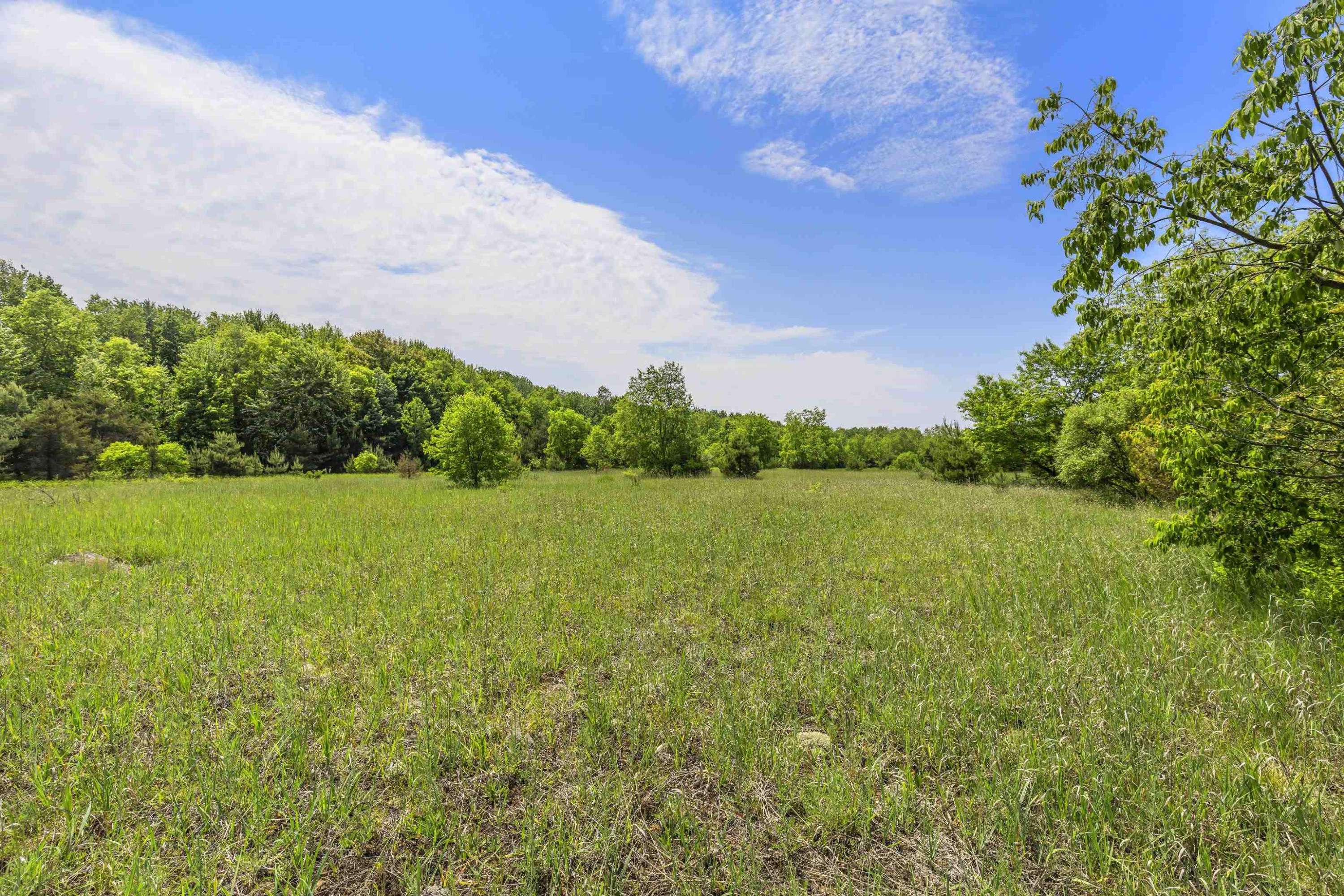 Benzonia, MI 49616,Wallaker Road
