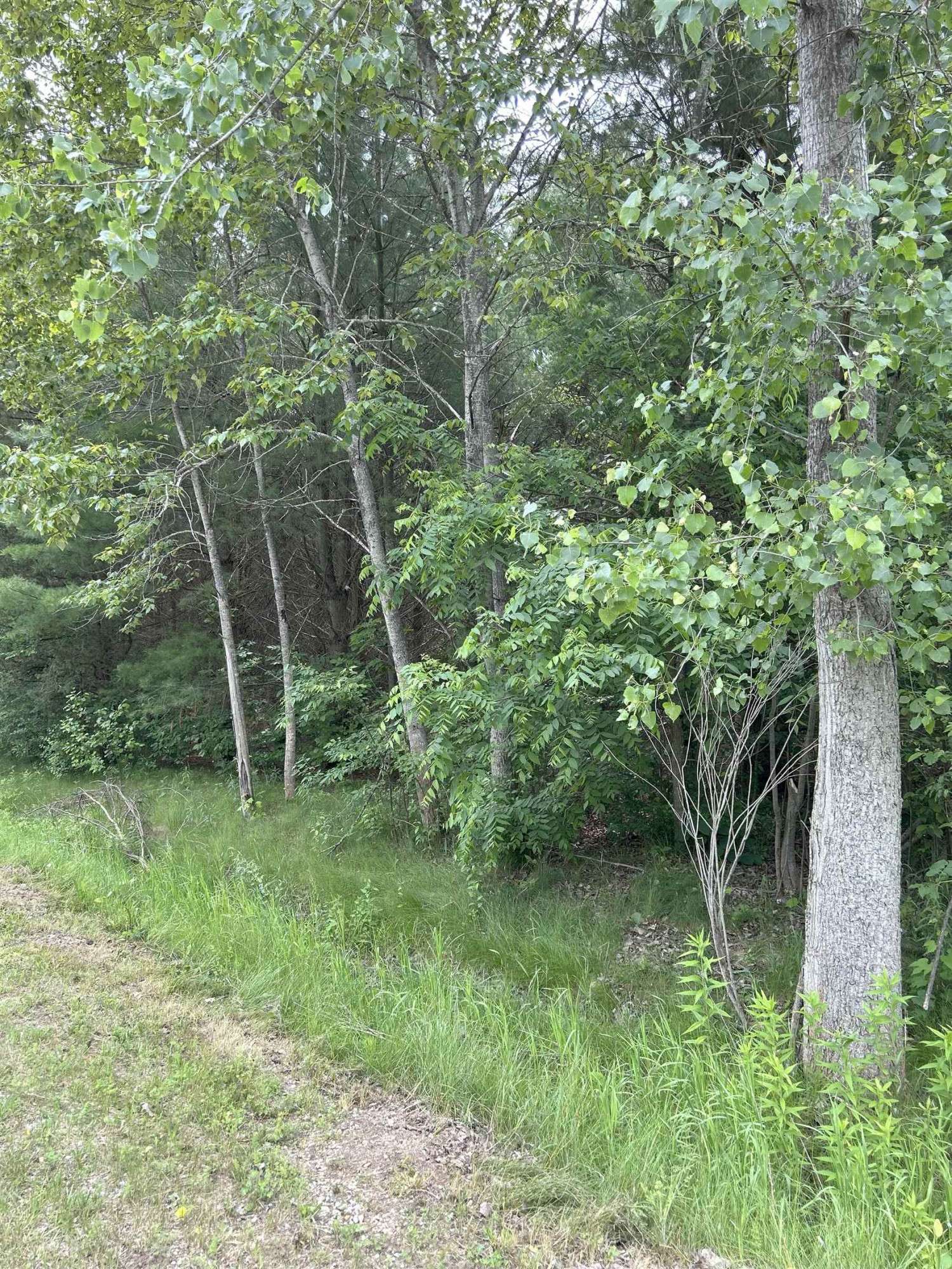 Gladwin, MI 48624,V/L Radov Road