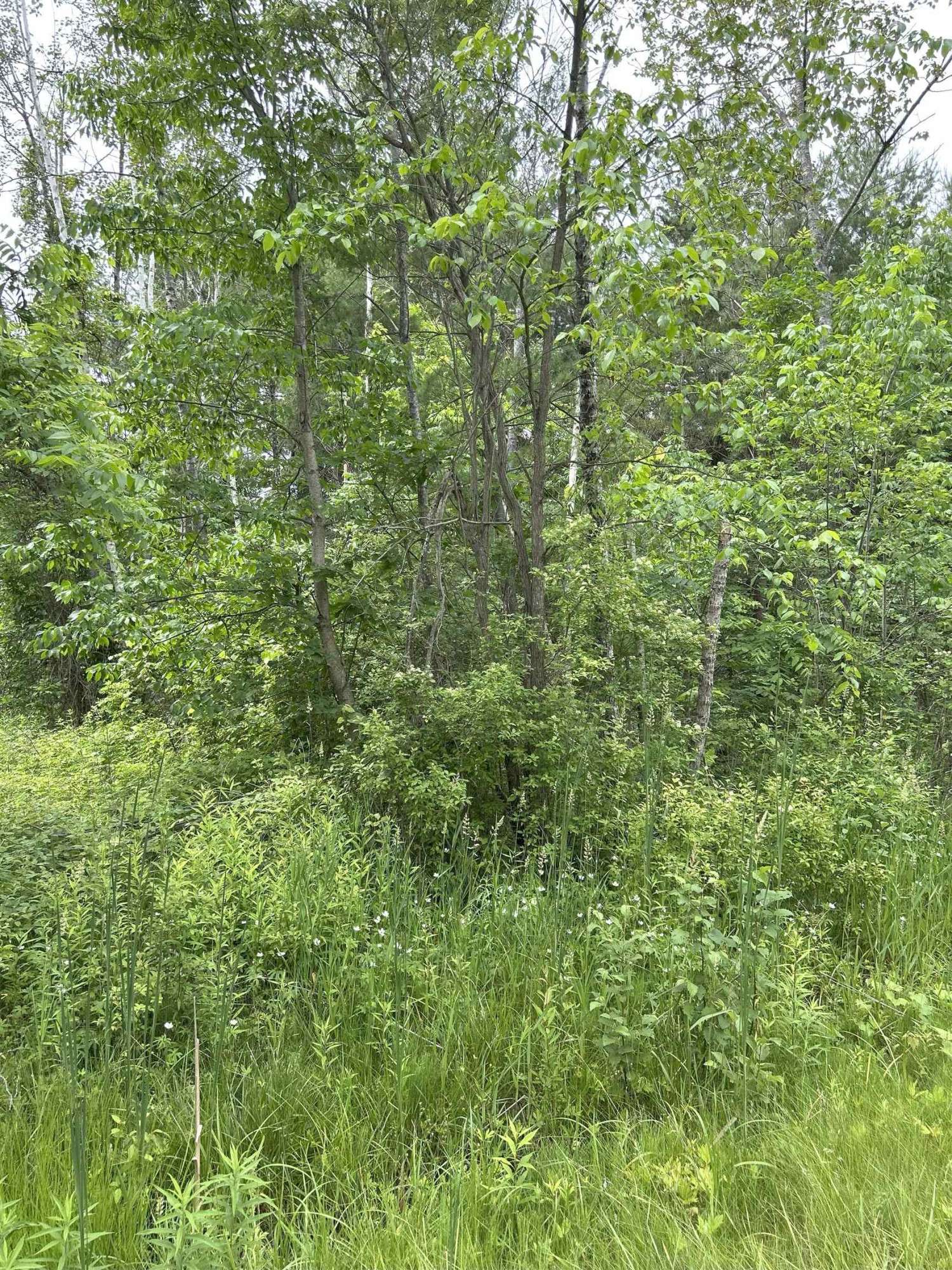 Gladwin, MI 48624,V/L Radov Road