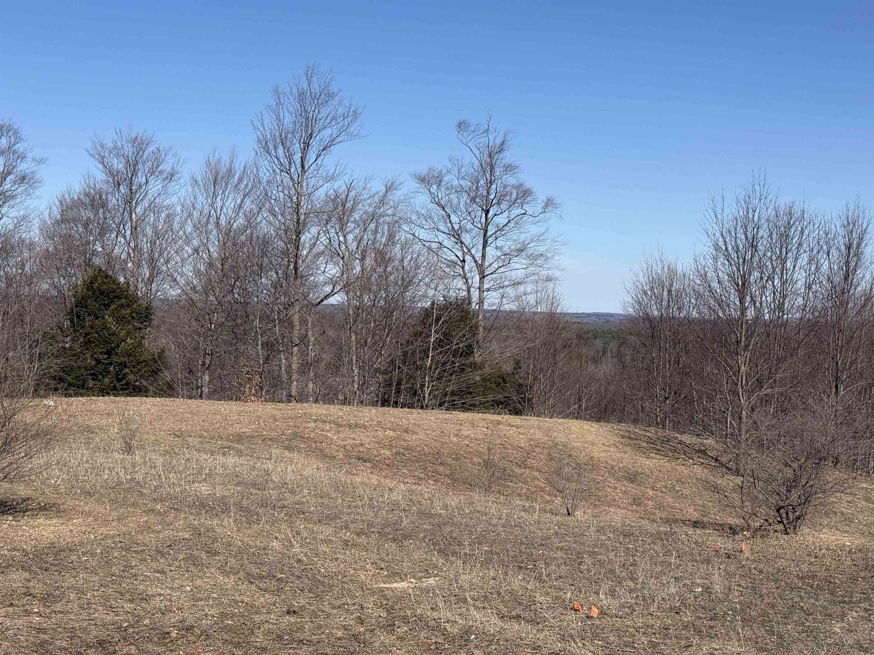 Grawn, MI 49637,015 Horton Creek Drive