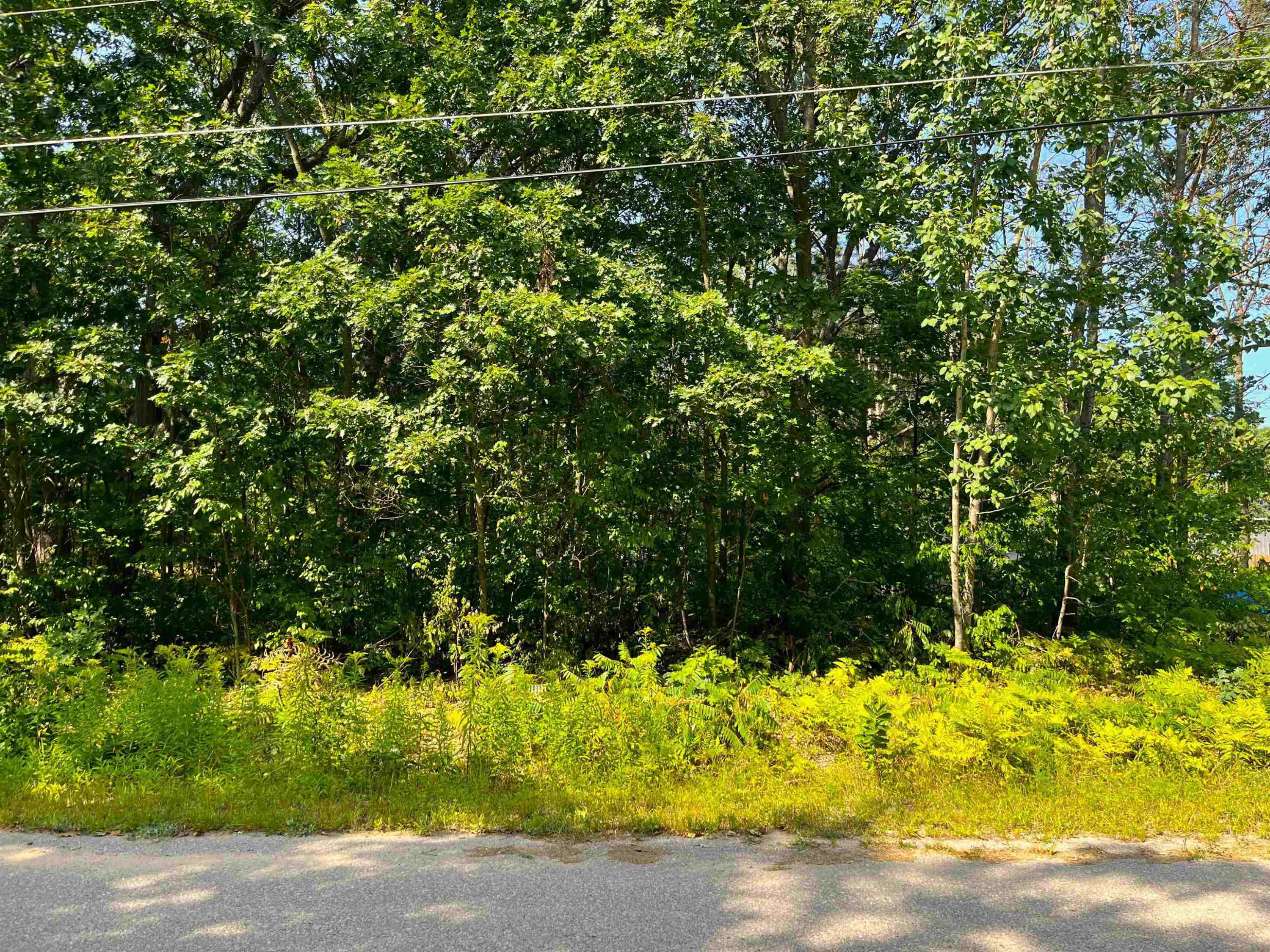 Interlochen, MI 49643,lot B Third Street
