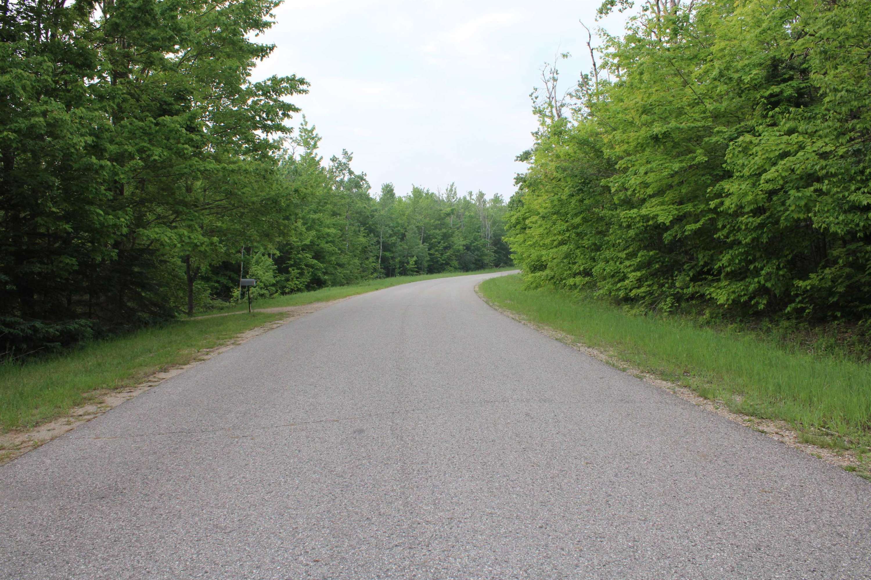Elmira, MI 49730,Snowridge Trail