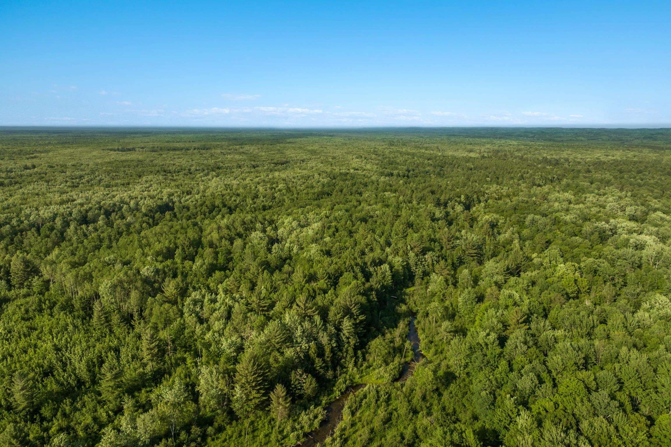Thompsonville, MI 49683,000 Bentley Road