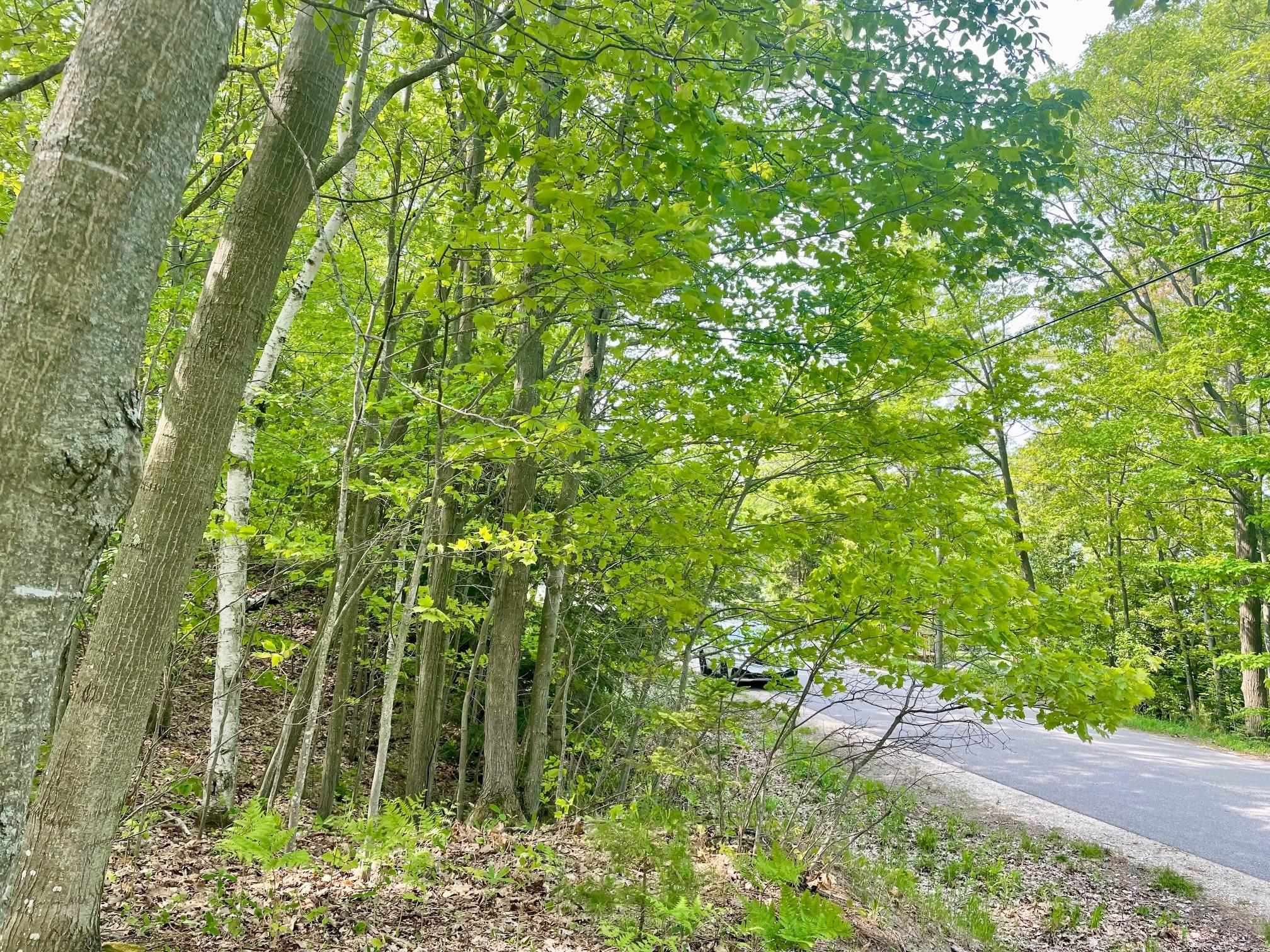 Kewadin, MI 49648,3355 Joe Marks Trail