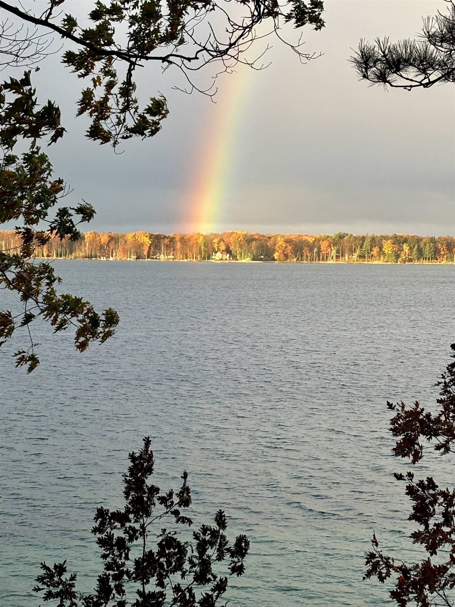 Interlochen, MI 49643,5692 Lakeview