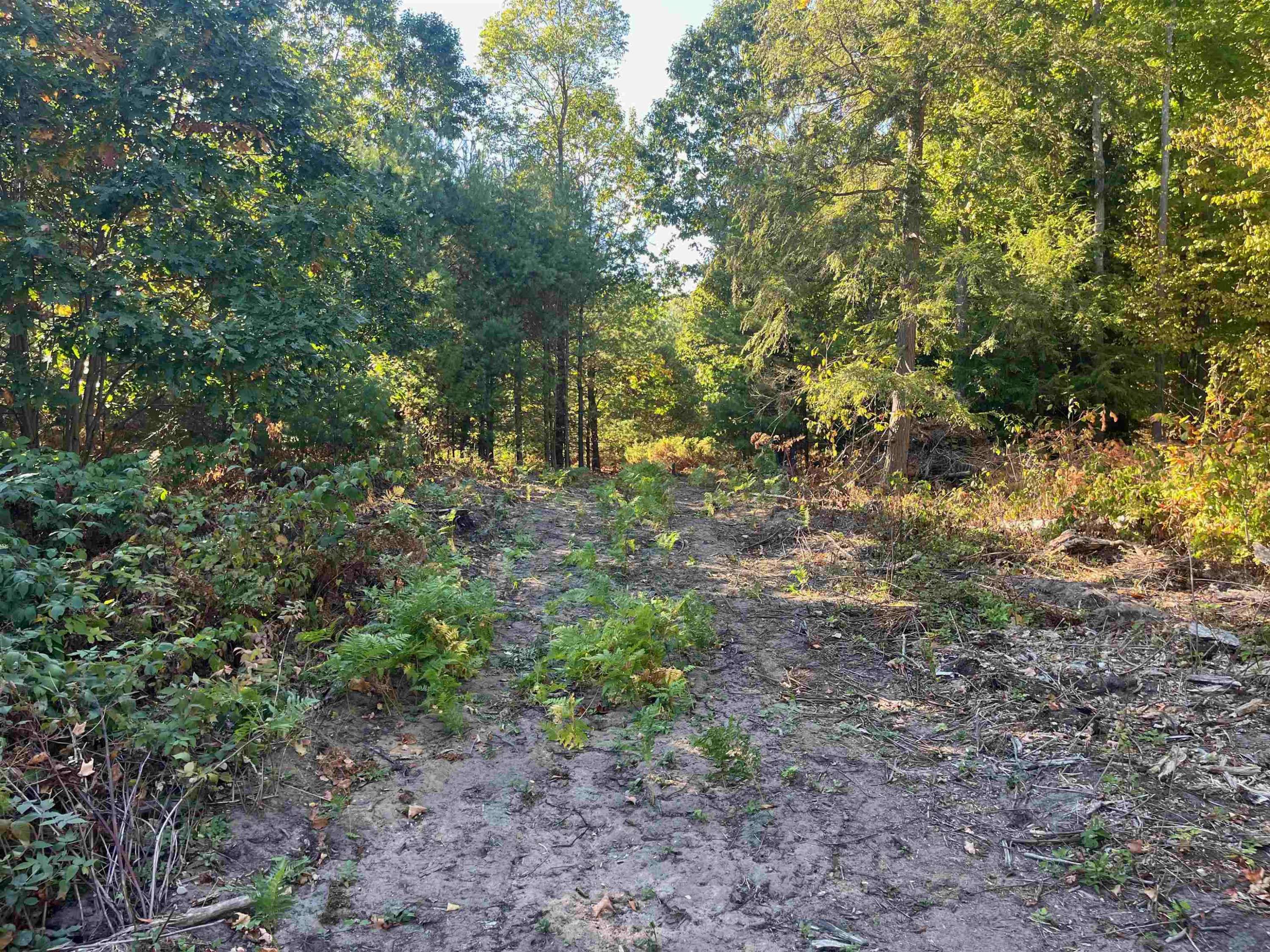 Traverse City, MI 49685,4735 Leaning Birch Drive