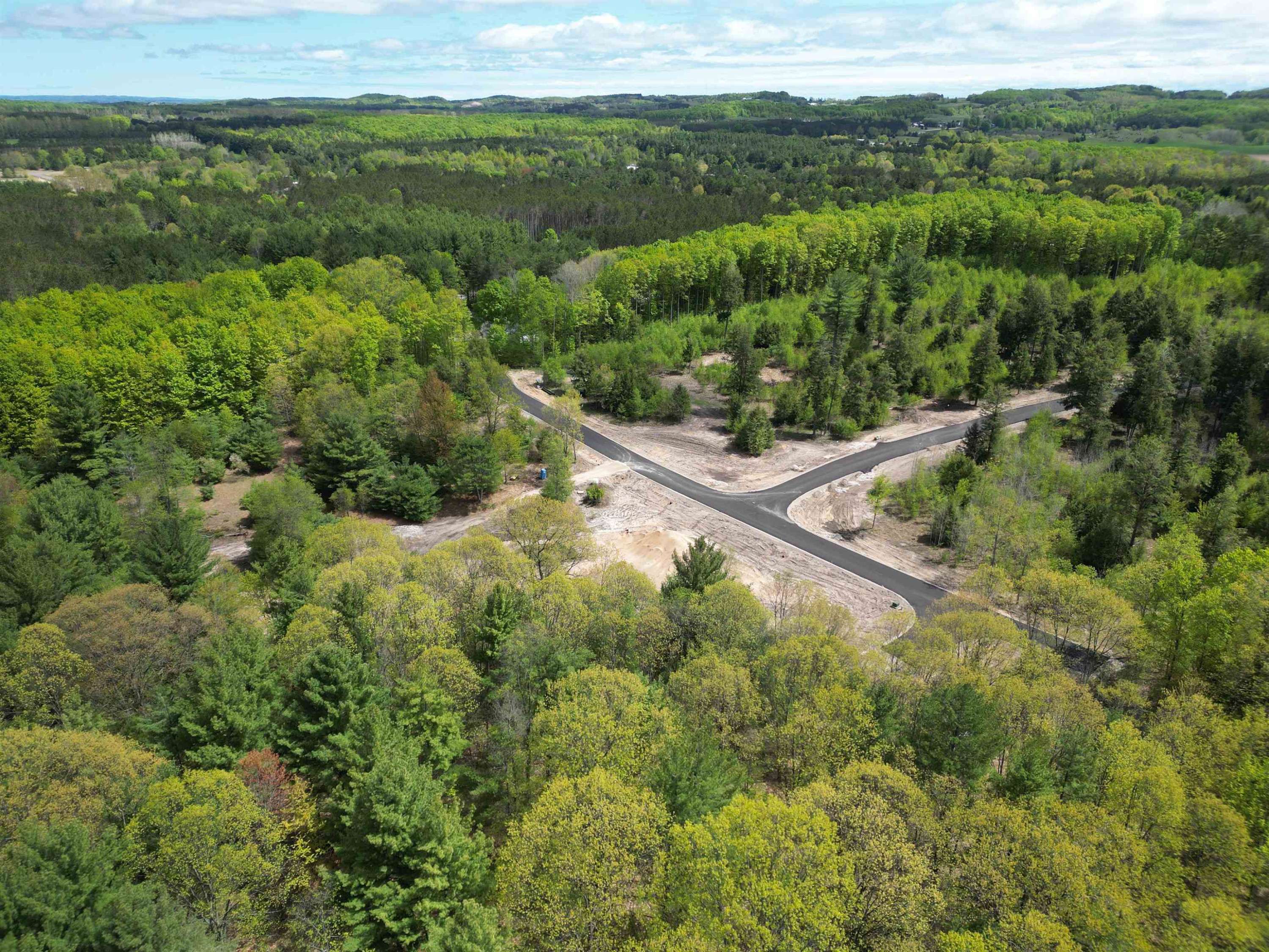 Traverse City, MI 49685,4717 Leaning Birch Drive