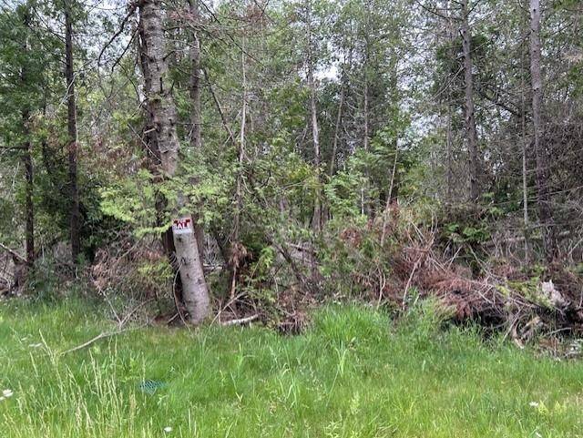 Oscoda, MI 48750,00 Pine Tree Trail