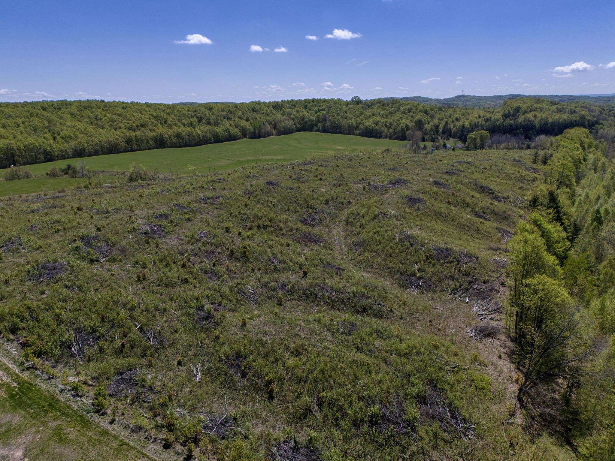 Lake Leelanau, MI 49653,8010 E Horn Road
