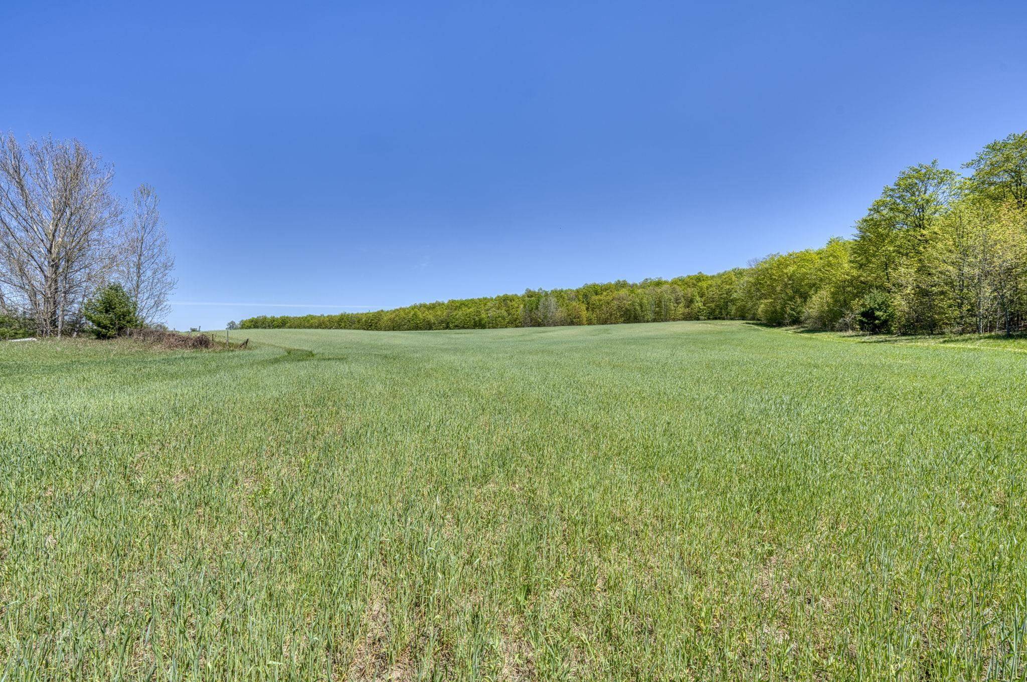 Lake Leelanau, MI 49653,8010 E Horn Road