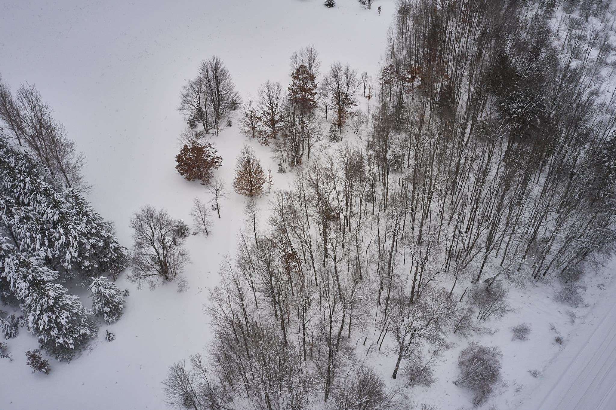 Traverse City, MI 49696,Parcel C Eikey Road