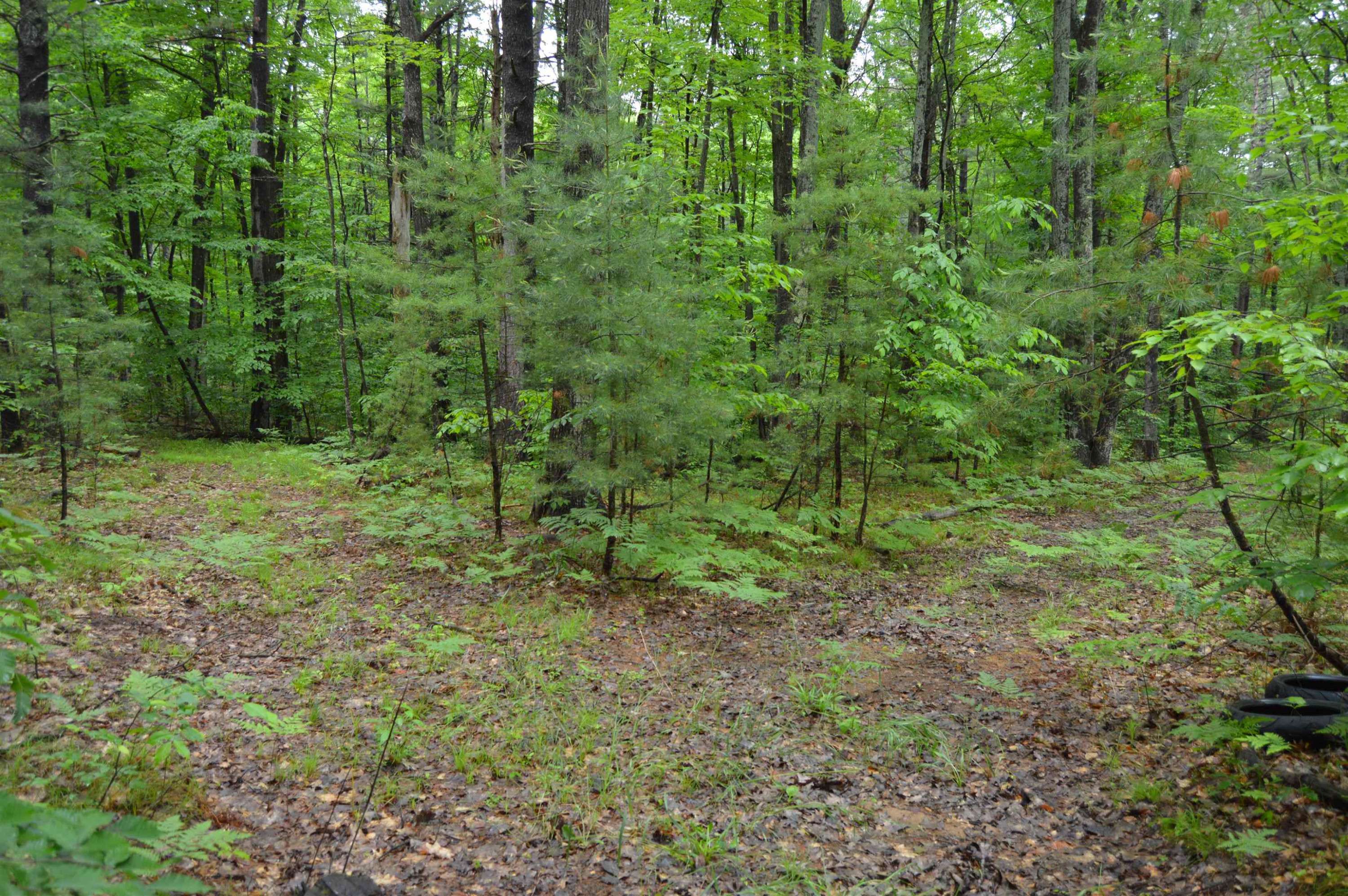 Williamsburg, MI 49690,0 Wheeler Oaks Drive