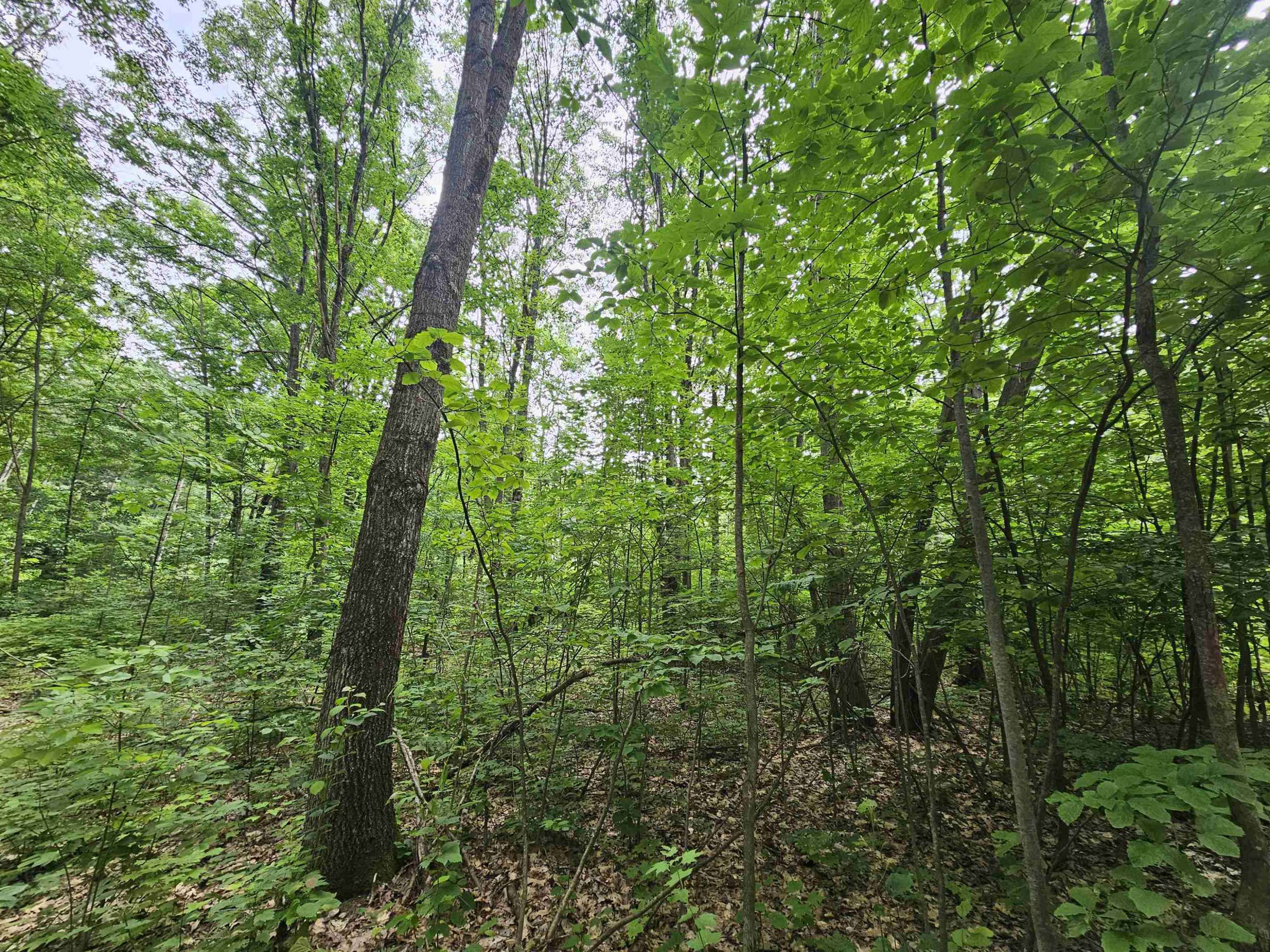 Marion, MI 49665,6509 Mareny Drive