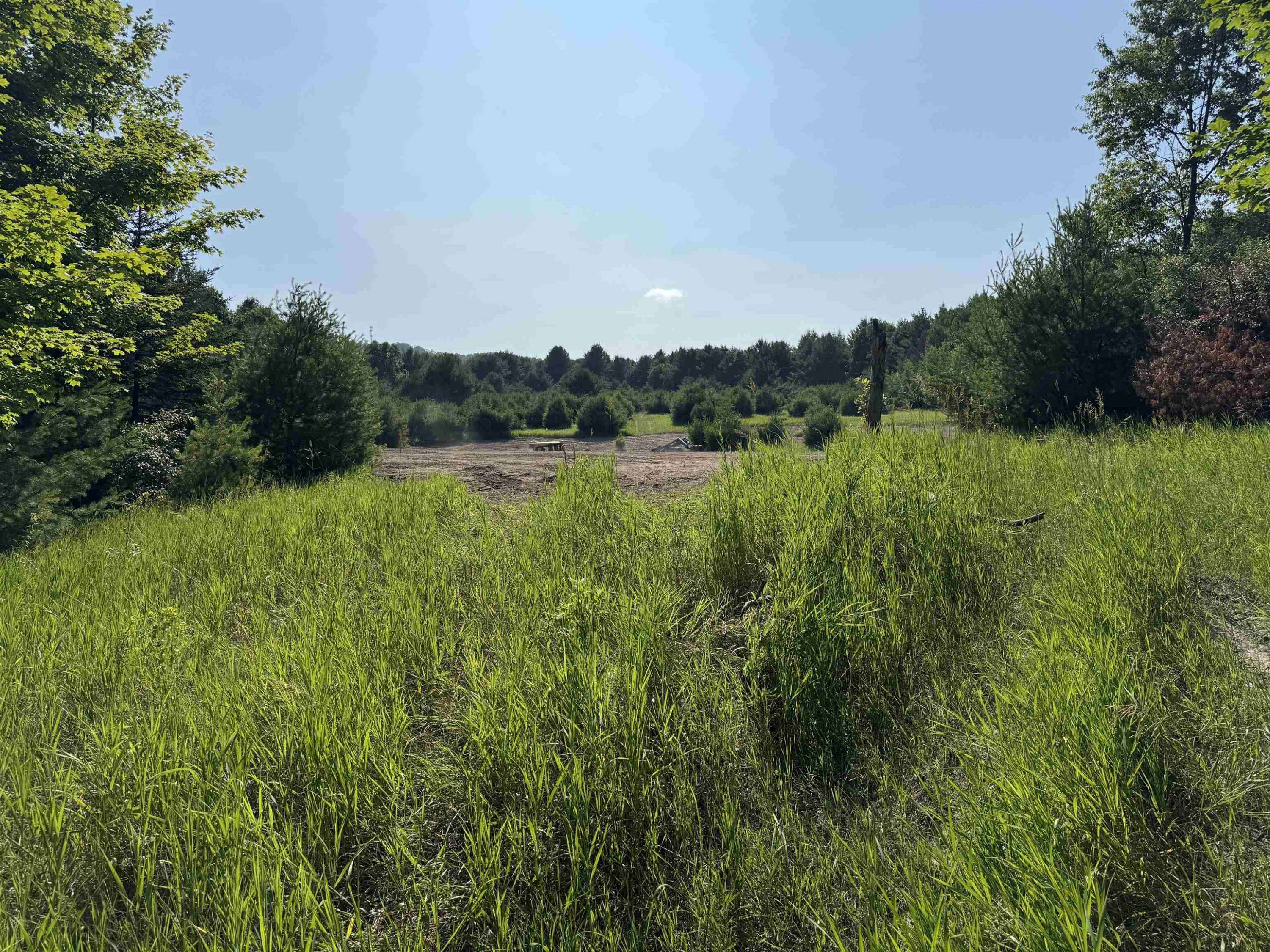 Cedar, MI 49621,Lot #6 E Bellinger Road
