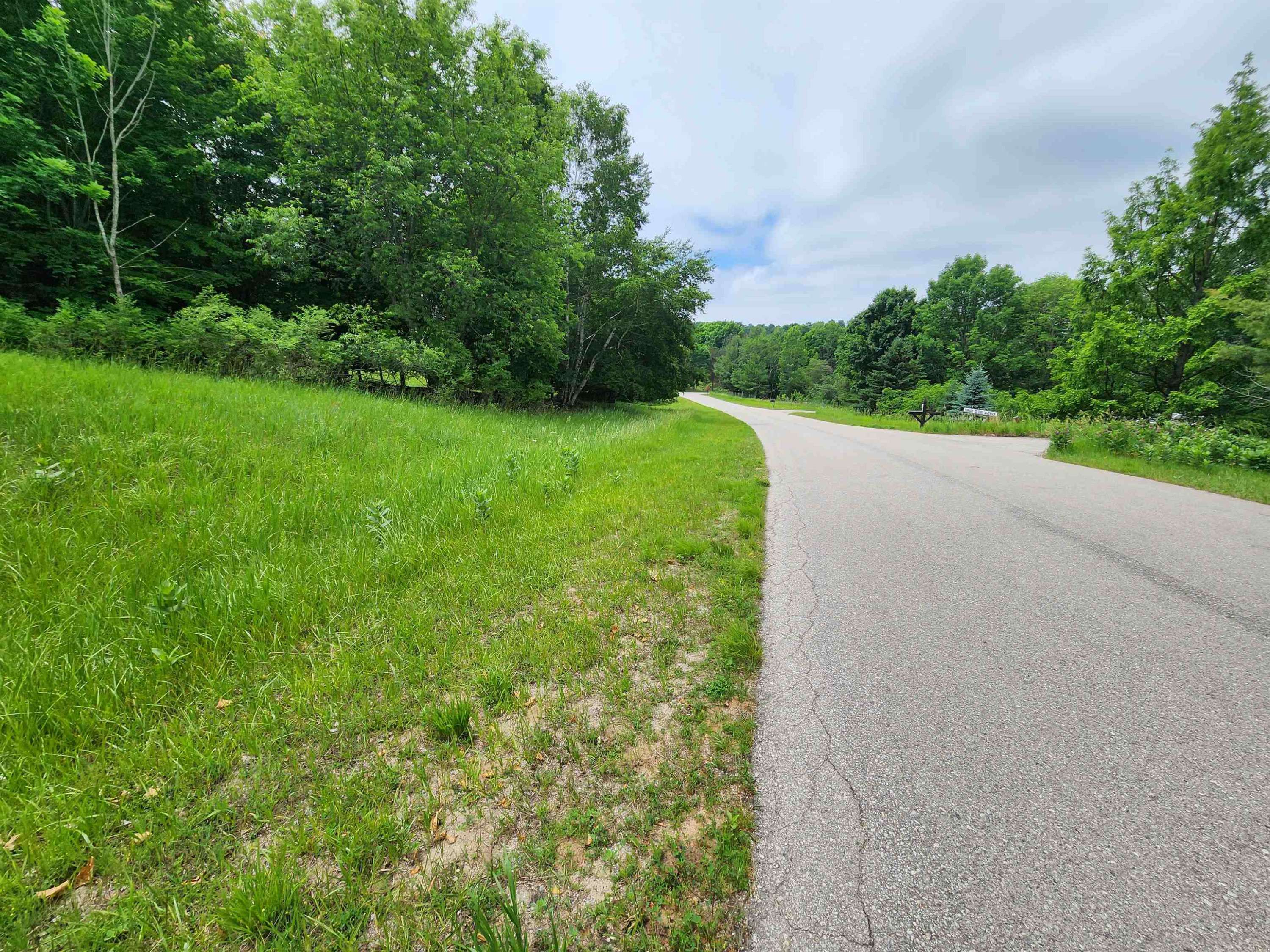 Beulah, MI 49617,0000 Deer Ridge Trail