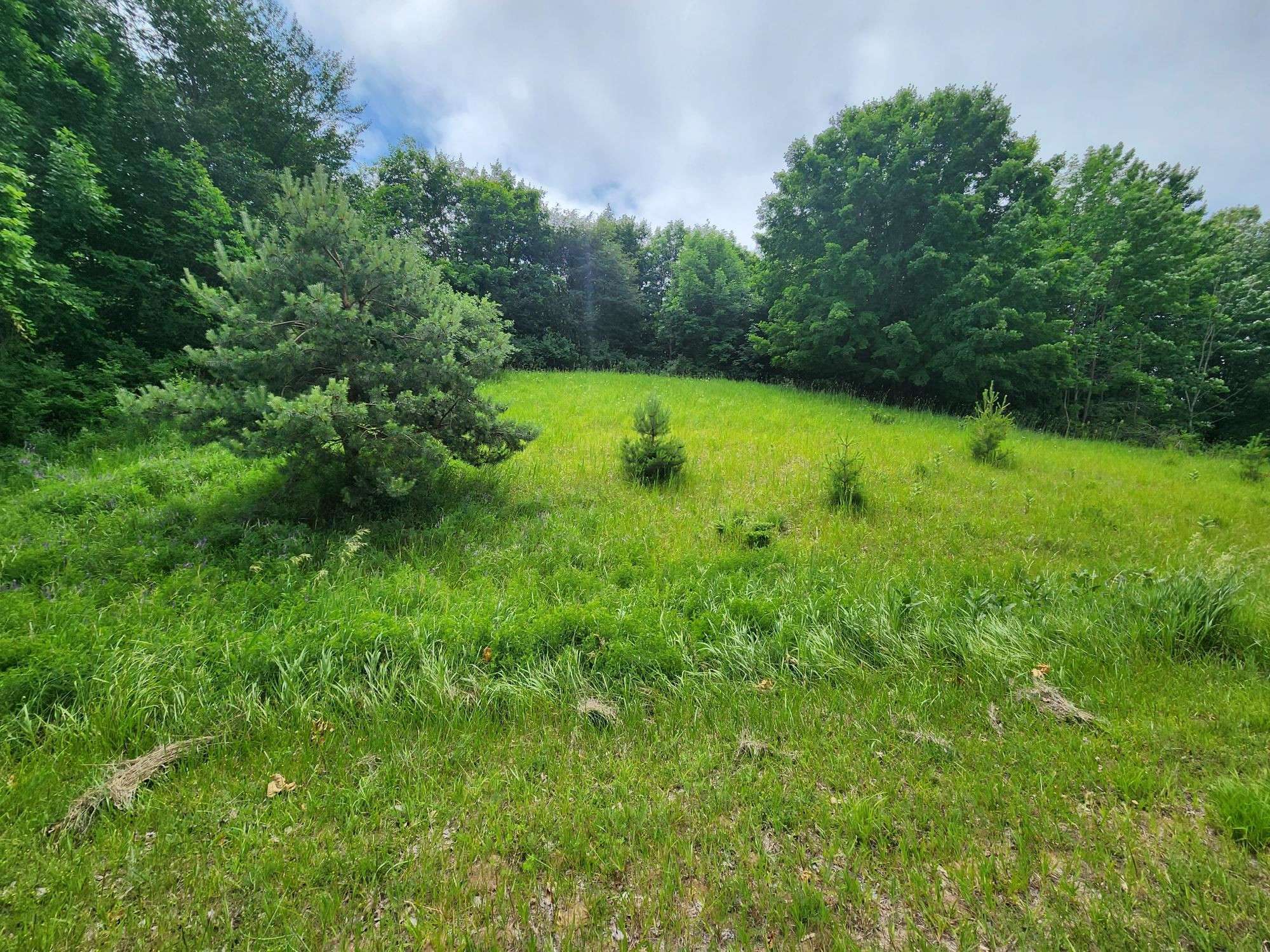 Beulah, MI 49617,0000 Deer Ridge Trail