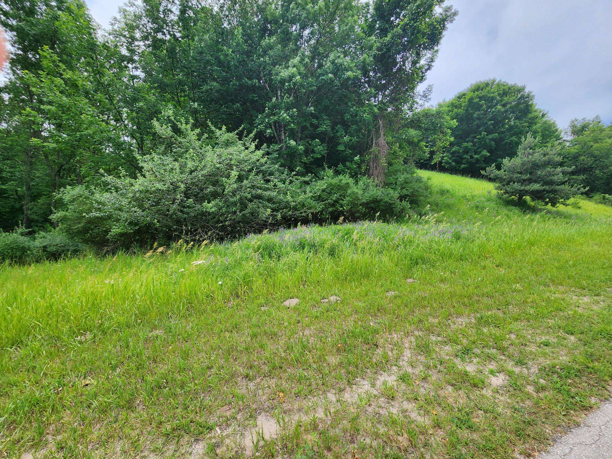 Beulah, MI 49617,0000 Deer Ridge Trail