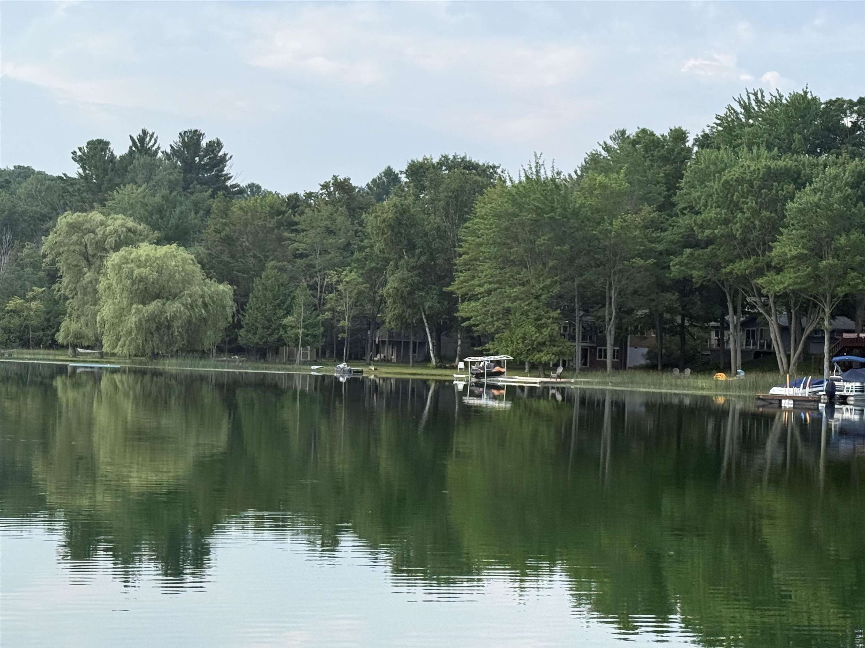 Lake Ann, MI 49650,19146 Birch View Trail