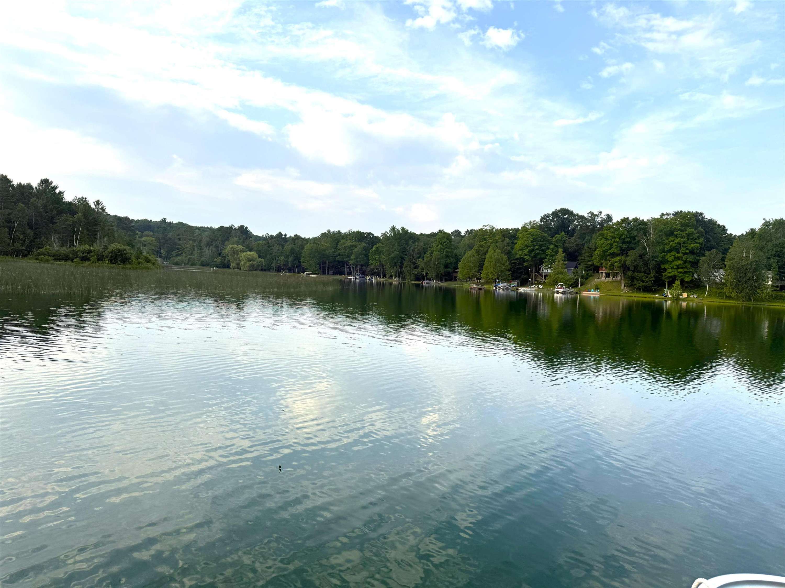 Lake Ann, MI 49650,19146 Birch View Trail