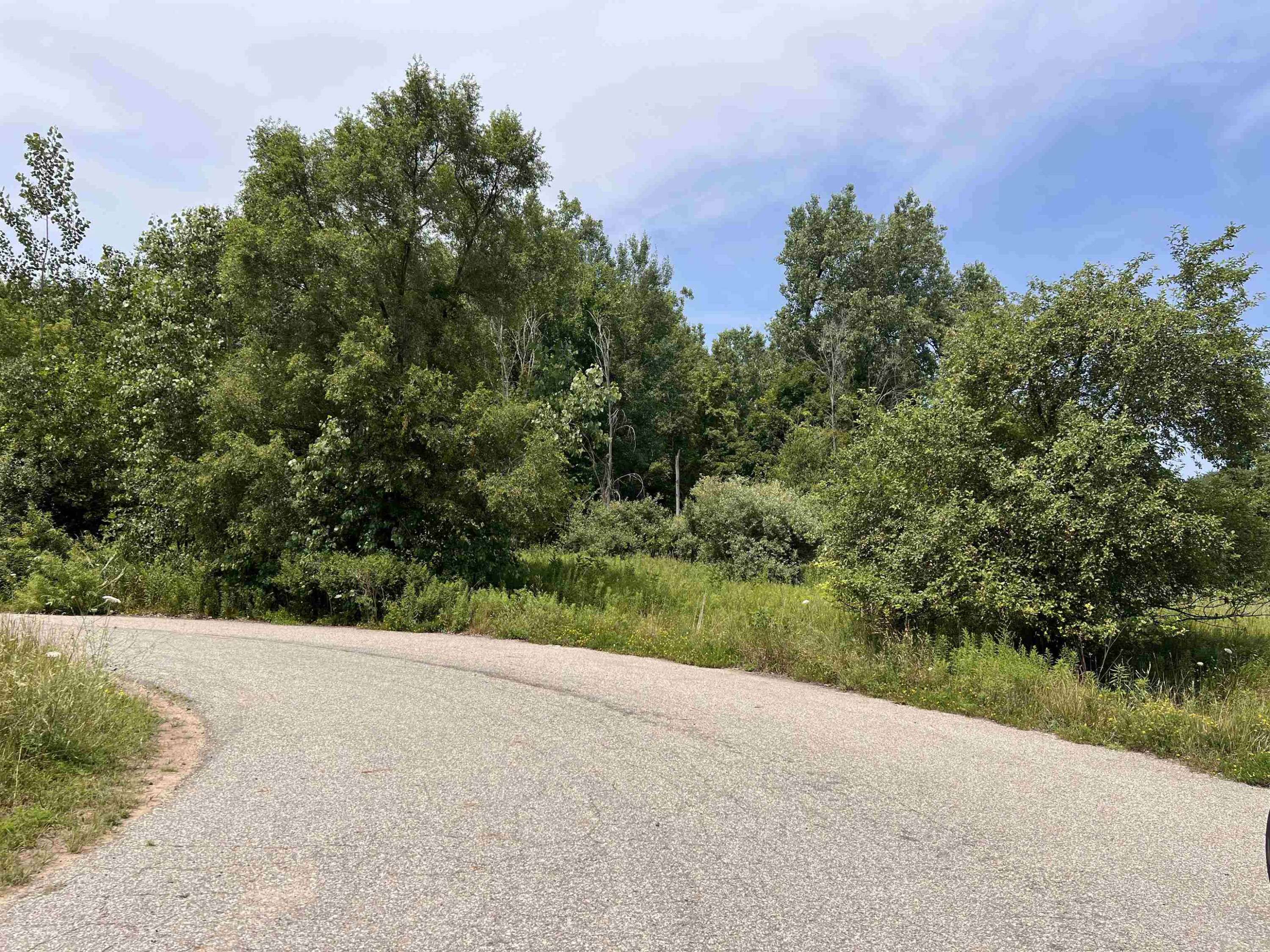 Mount Pleasant, MI 48858,Lot 11 McDonald Drive