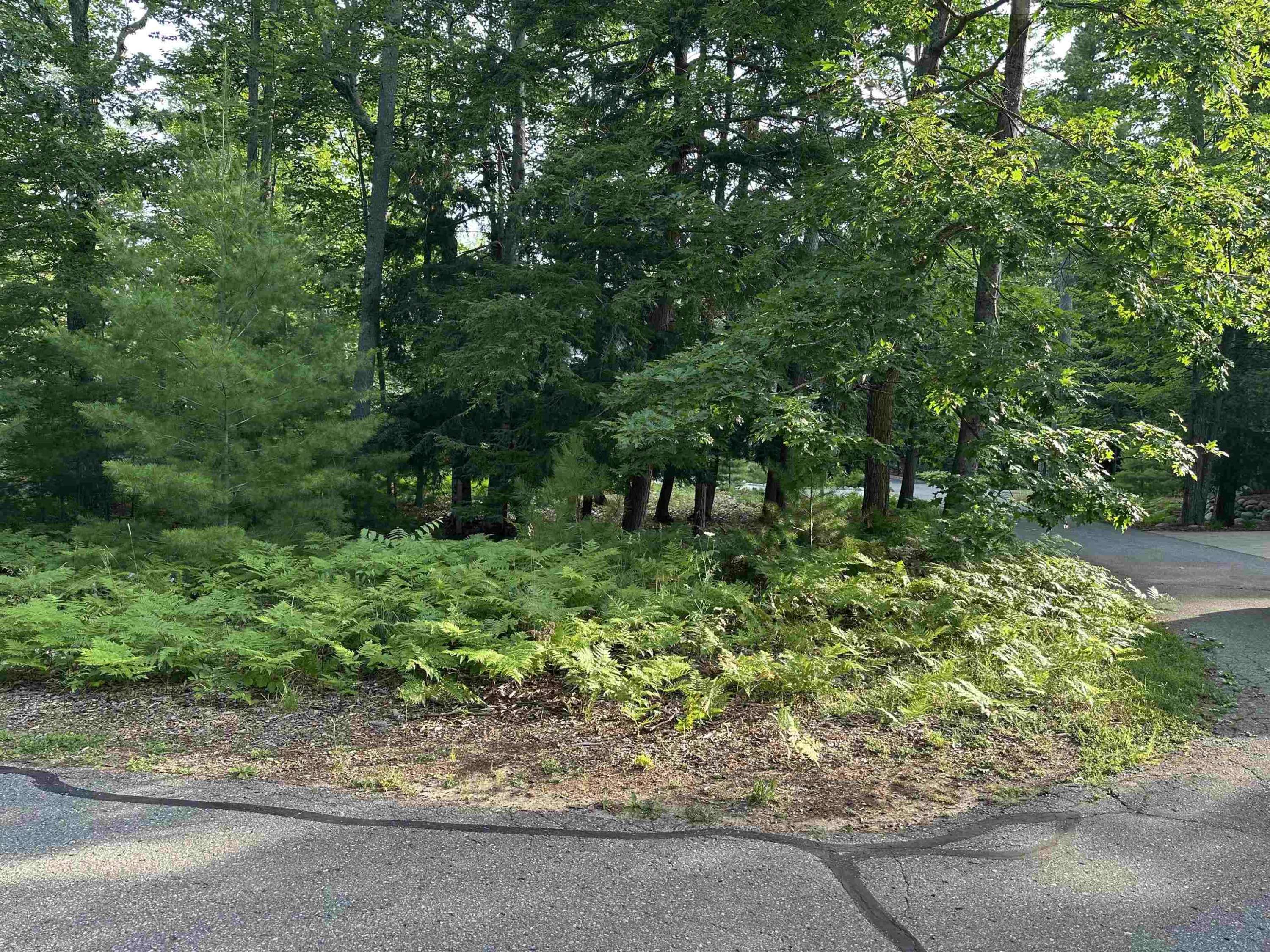 Glen Arbor, MI 49636,7 Deer Park