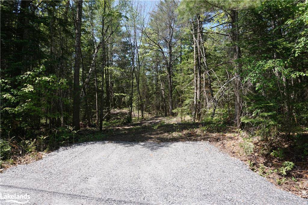 Baysville, ON P0B 1A0,LOT 1 Fairy Falls Road