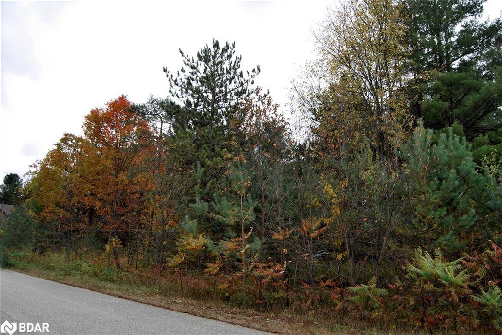 Tiny, ON L0L 2T0,N/A Reynolds Road