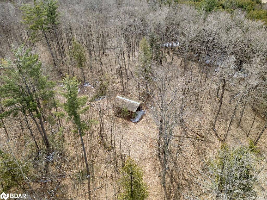 Lakefield, ON K0L 2H0,PT LT 24-25 Birchview Road