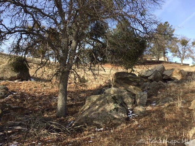 Tehachapi, CA 93561,0 Quail Drive