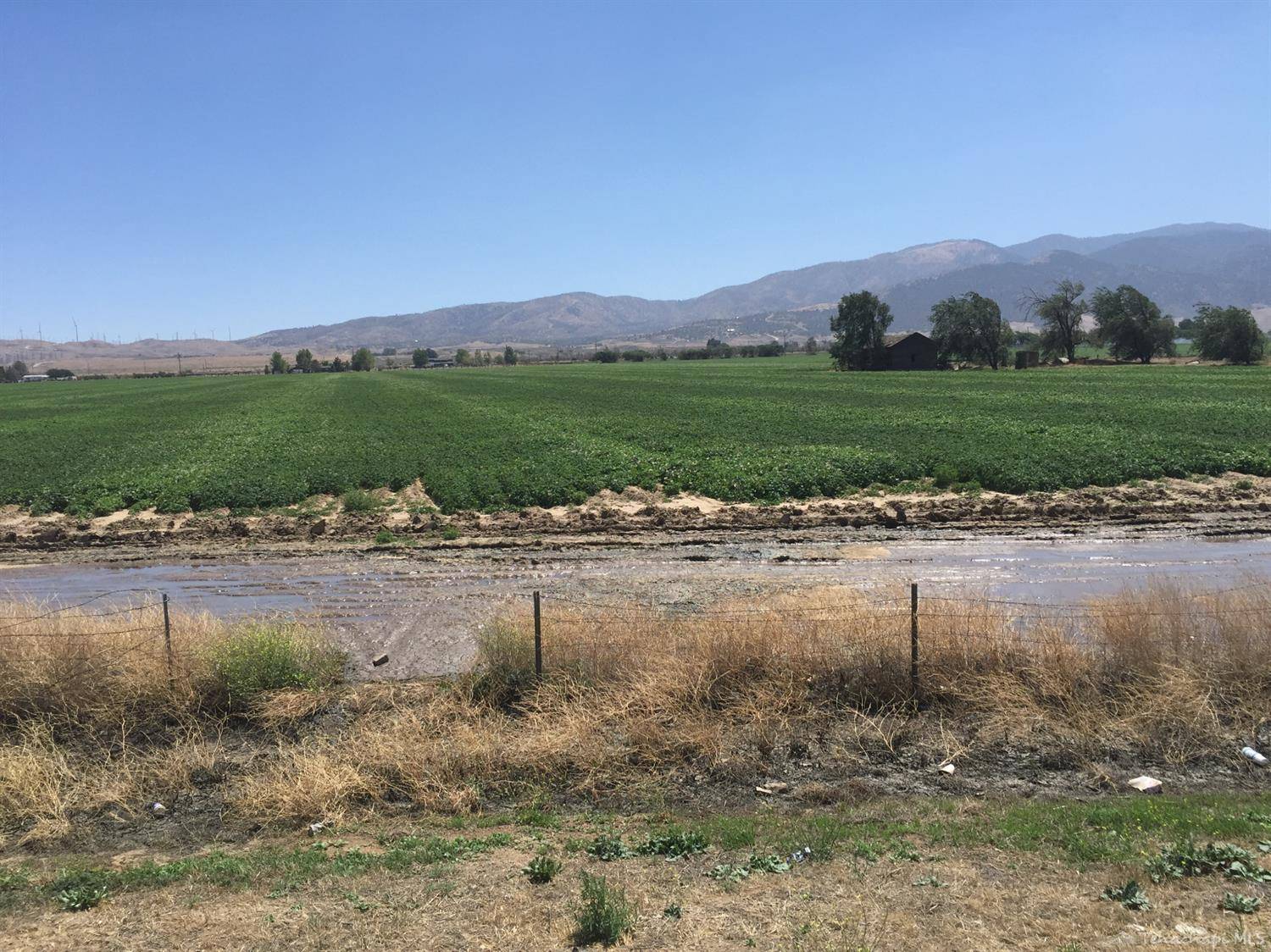 Tehachapi, CA 93561,0 Abajo Avenue