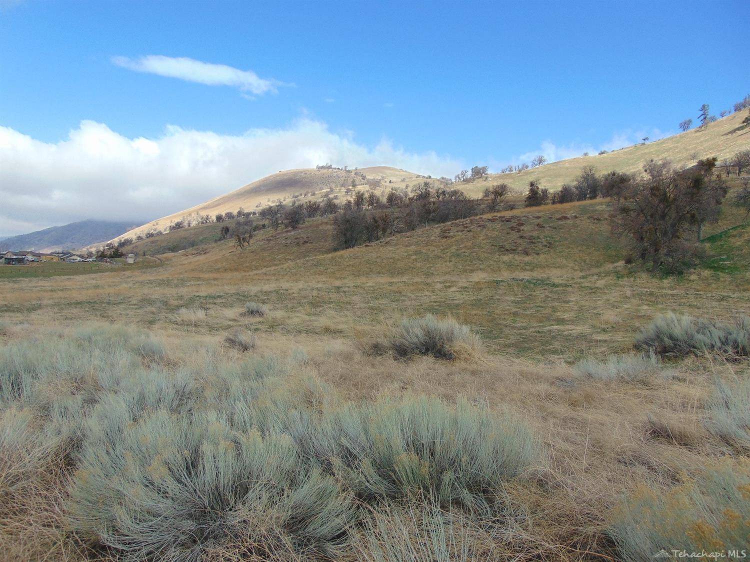 Tehachapi, CA 93561,0 Bertram Circle Lot 3