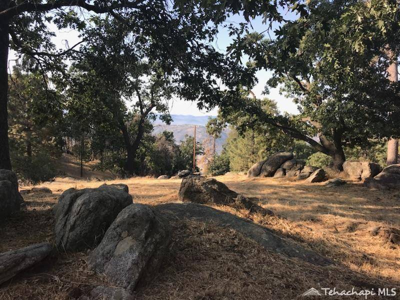 Tehachapi, CA 93561,29101 Woodview Court