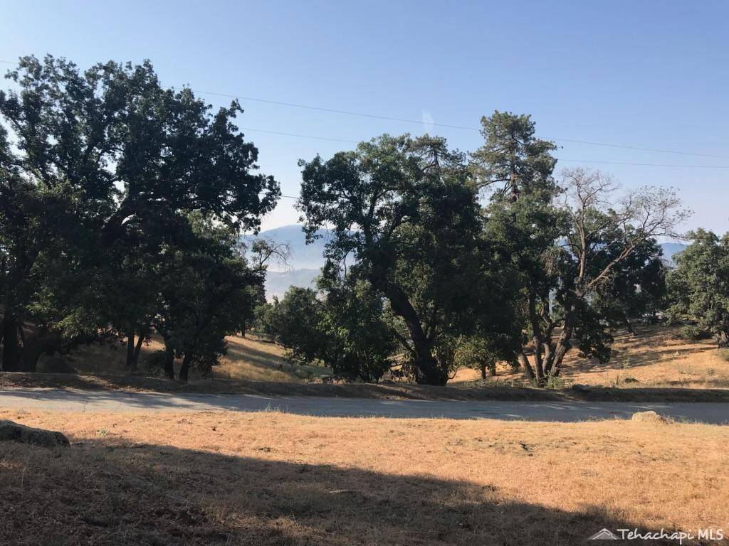 Tehachapi, CA 93561,29151 Woodview Court