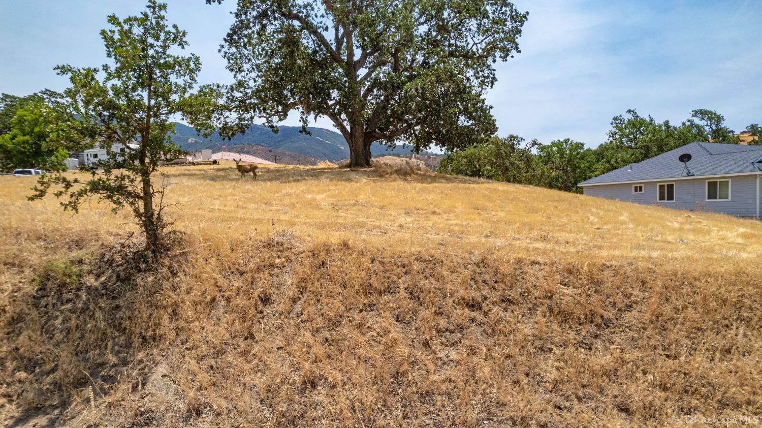 Tehachapi, CA 93561,0 Delaware Drive