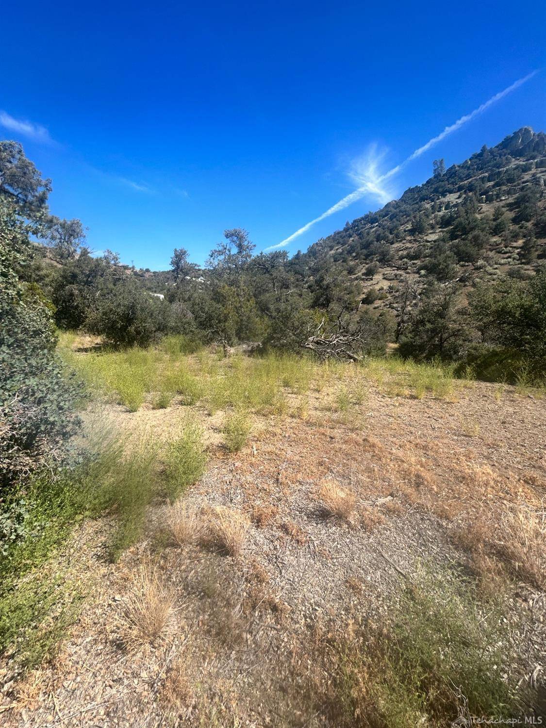 Tehachapi, CA 93561,11304 Country Canyon Road