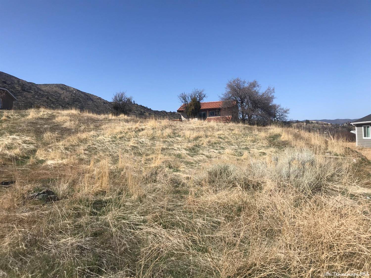 Tehachapi, CA 93561,22809 Retreat Place Lot 106