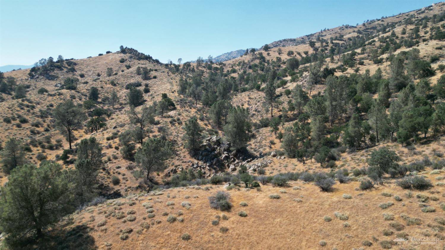 Caliente, CA 93518,0 Underwood Way, Lot 24