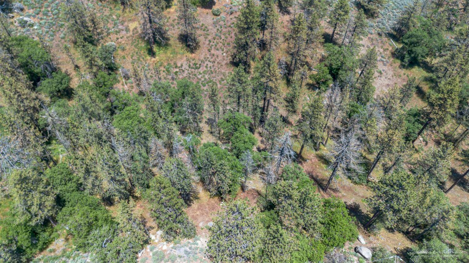 Tehachapi, CA 93561,25880 Wilderness Way